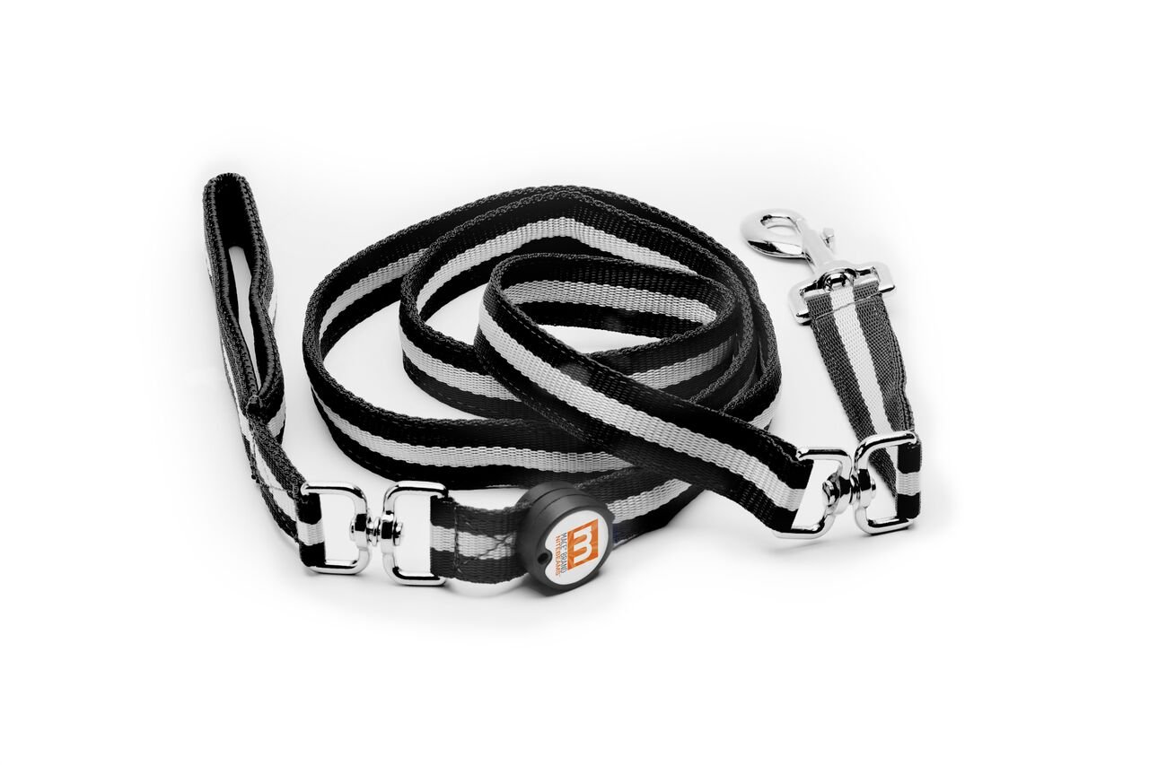 LED Lighted Pet Leash - Reflective Dog Leash for Night Walking, Safety Collar with Bright LED Lights for Small Medium Large Dogs - Perfect for Evening Walks, Jogging, and Outdoor Adventures