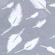 Grey Feathers