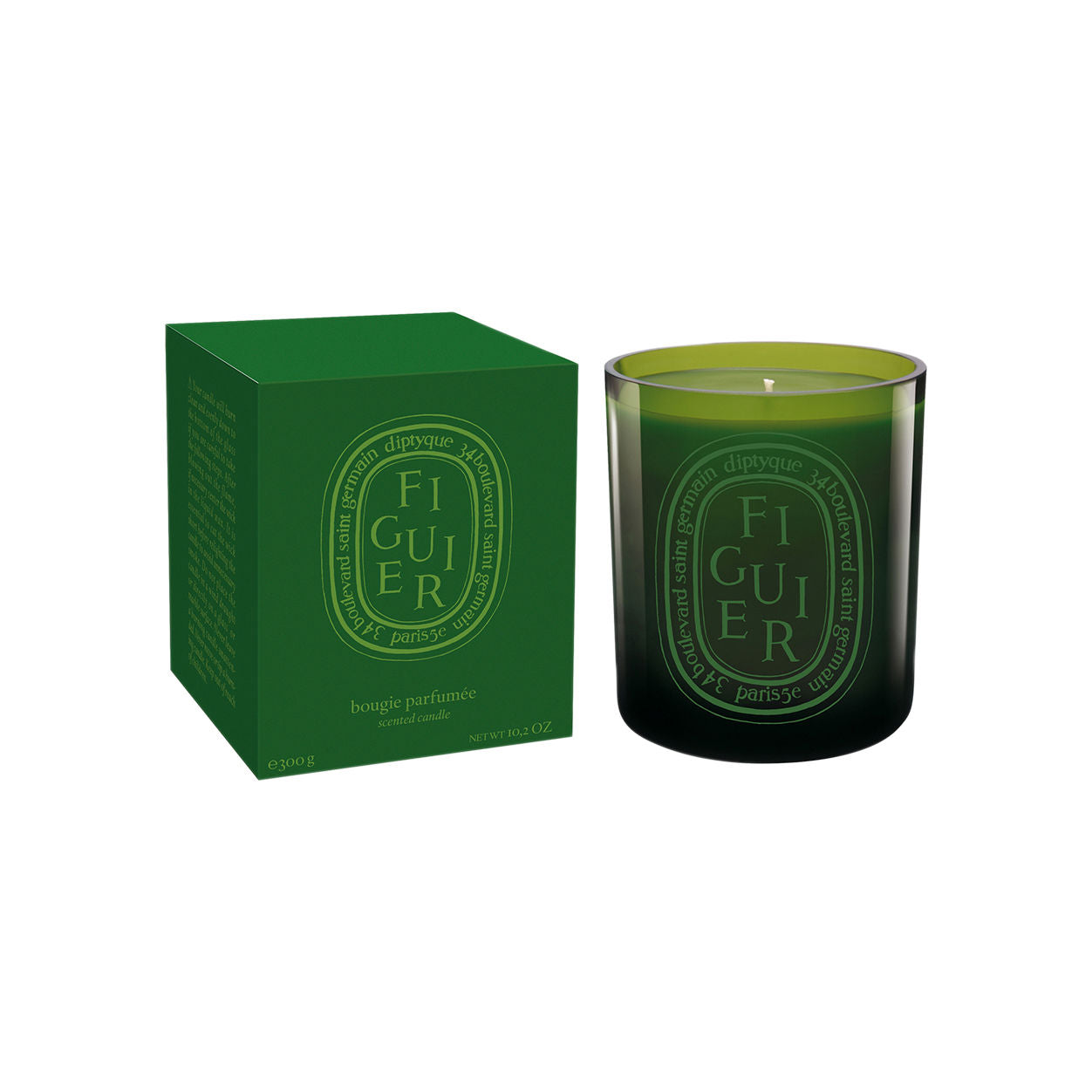 Fig Tree Verte Scented Candle - Natural Soy Wax Aromatherapy Candle for Home, Spa & Relaxation | Perfect for Living Room, Bedroom & Bathroom Décor
