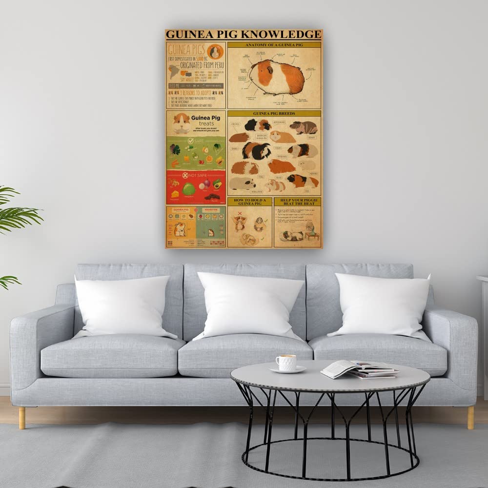 Guinea Pig Care Guide Poster - Educational Wall Art for Pet Lovers - Giclee Print Canvas Decor for Living Room, Bedroom, Office & Bathroom - Framed Animal Infographic (24x36 Inches, 60x90cm) - Perfect Gift for Guinea Pig Owners & Veterinary Students