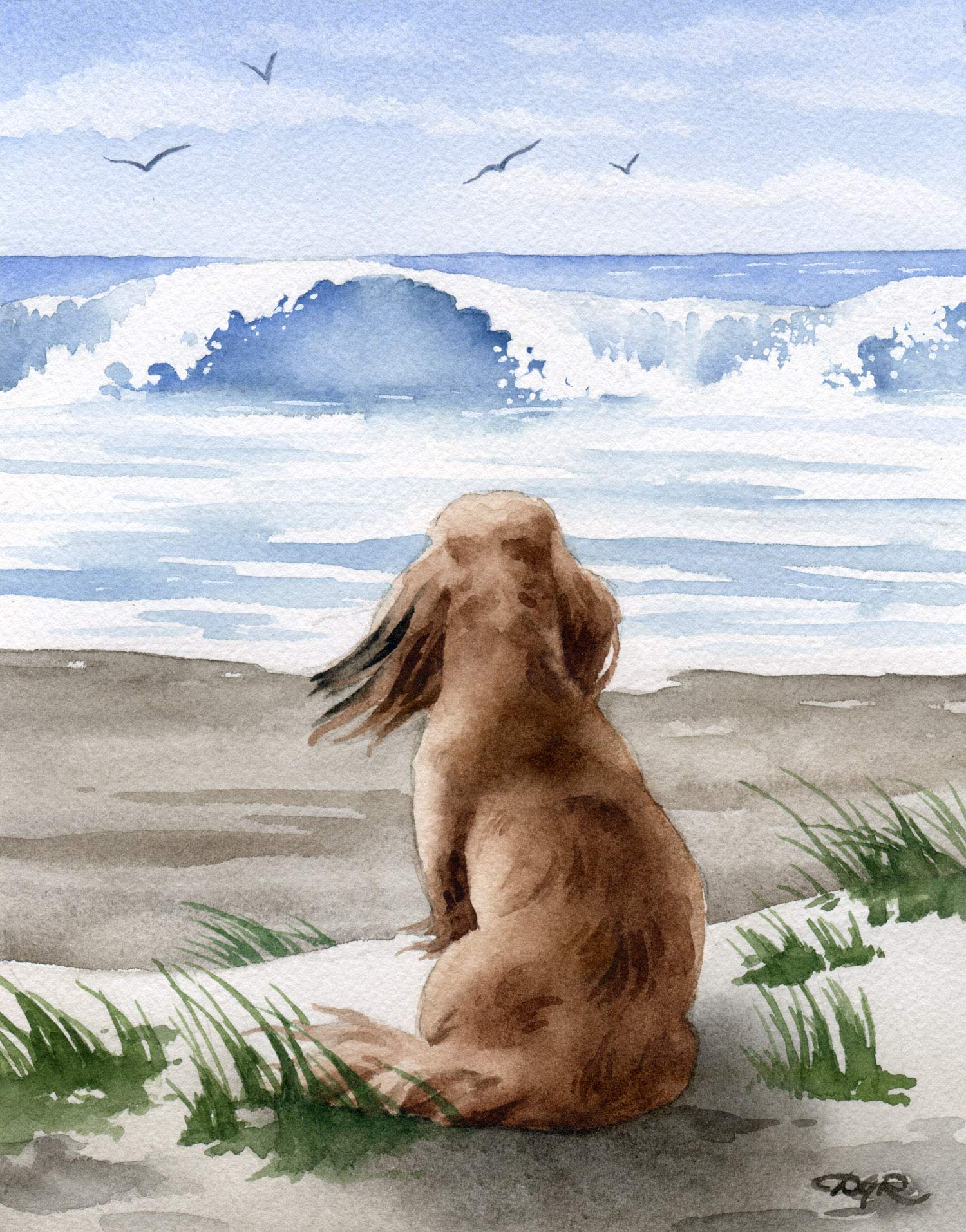 Long Haired Dachshund at the Beach Watercolor Art Print - Oversized Wall Decor by Artist DJ Rogers | Perfect for Living Room, Bedroom & Office Decor