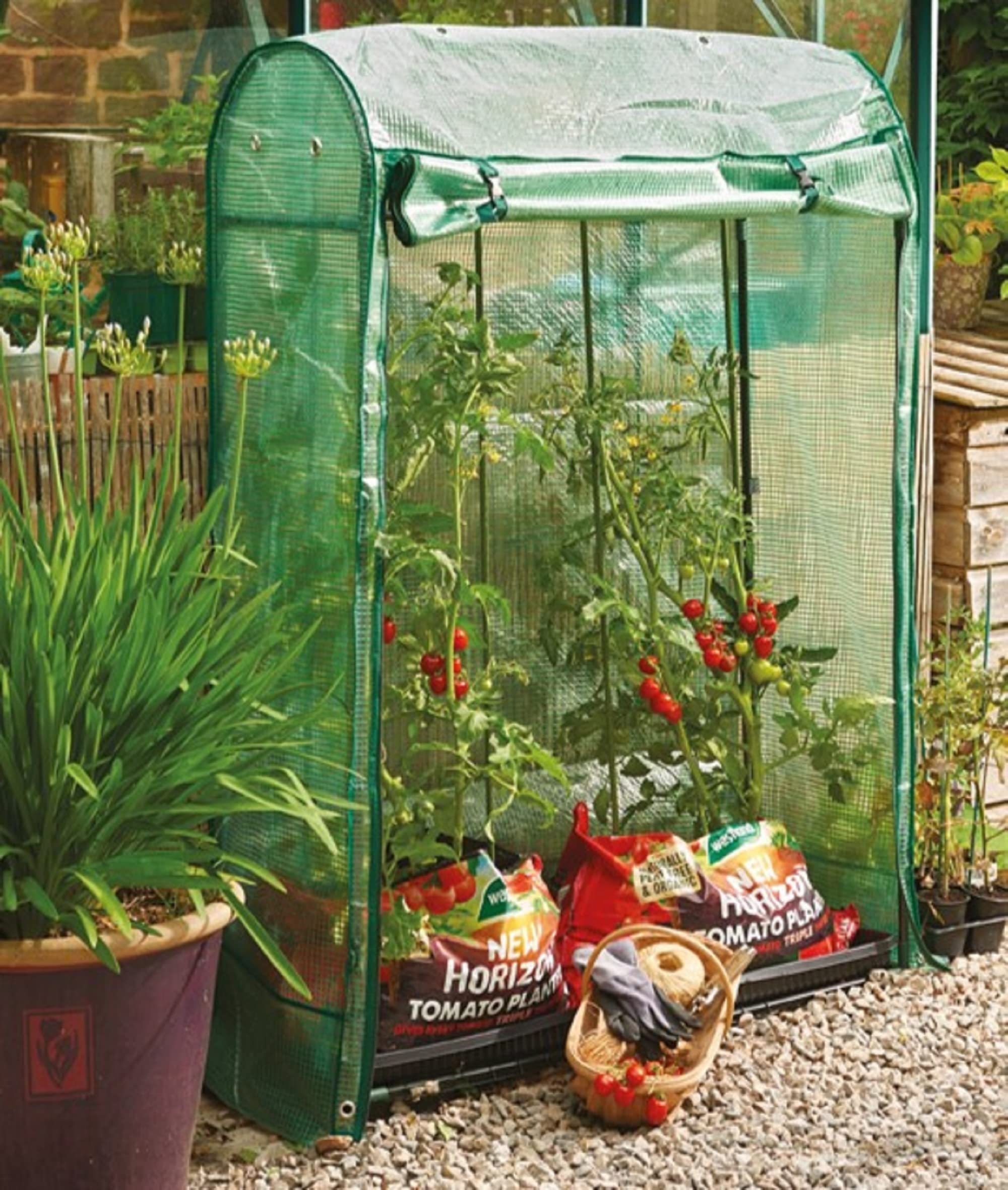 Premium Tomato Greenhouse Kit for Home Gardening - Durable Walk-in Plant House for Growing Tomatoes, Vegetables & Herbs - Perfect for Backyard, Patio, and Urban Farming