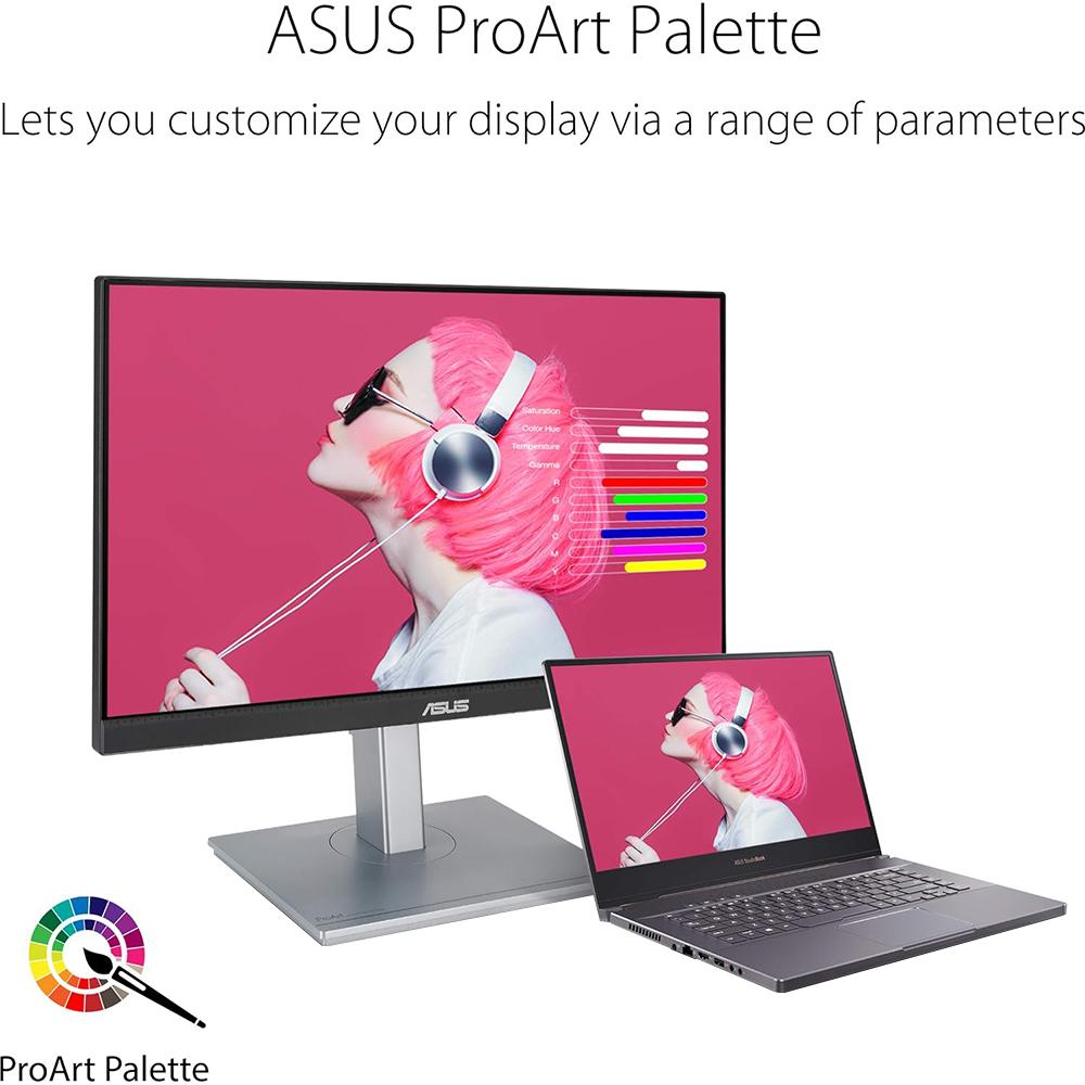 ASUS ProArt PA248QV 23.8