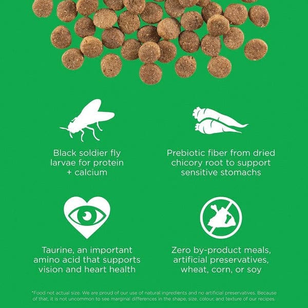 Go! Solutions Sensitivities Limited Ingredient Grain-Free Insect Protein Dry Dog Food - Hypoallergenic & Digestive Support for Dogs with Food Allergies - Perfect for Sensitive Stomachs & Skin Issues