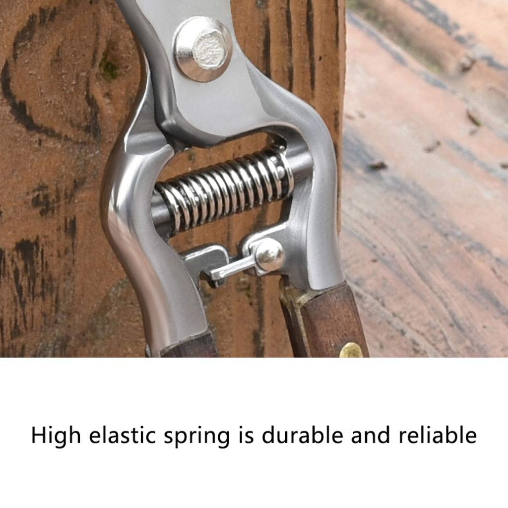 Premium Stainless Steel Gardening Shears with Fraxinus Mandshurica Wooden Handle - Sharp, Labor-Saving Pruning Shears for Bonsai, Flowers & Plants - Ideal for Home Gardeners & Professional Landscaping Tools