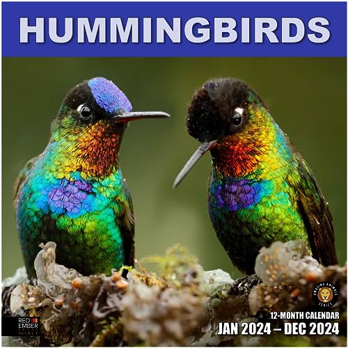 07 - Hummingbirds