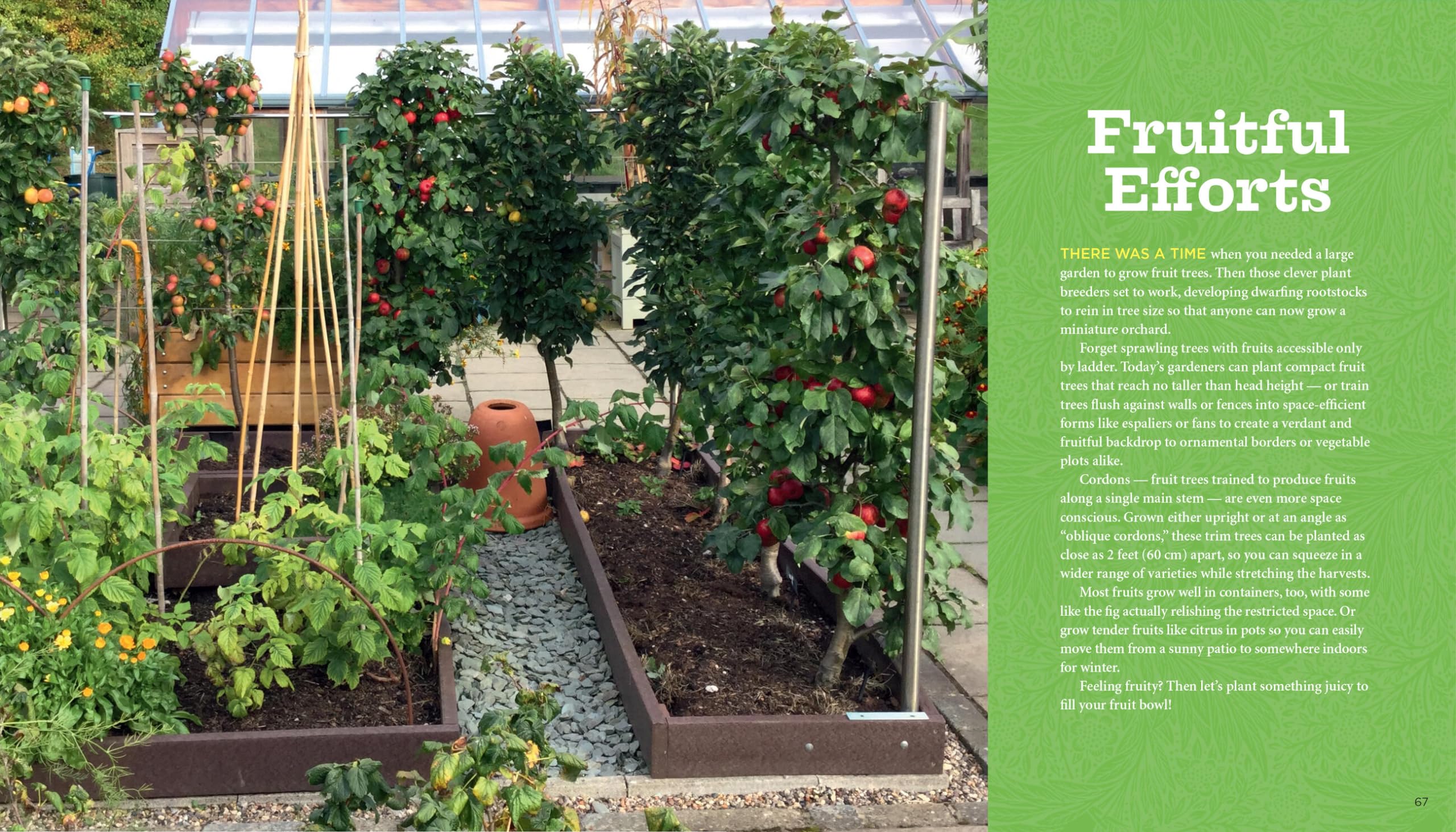 GrowVeg: The Complete Beginner's Guide to Easy Vegetable Gardening at Home - Perfect for Backyard, Container & Urban Gardening
