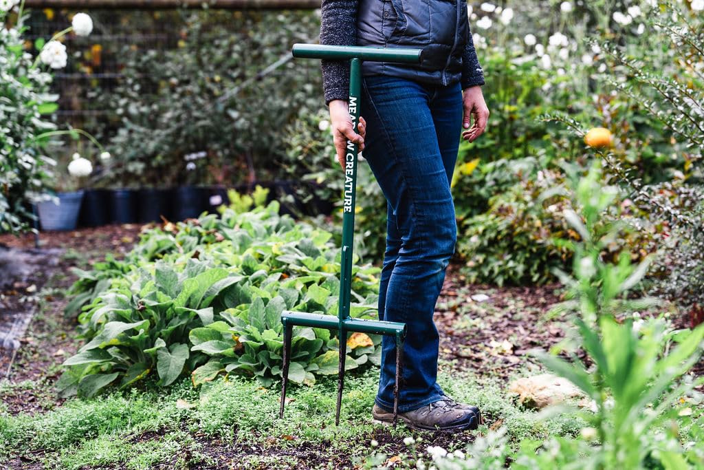 Heavy Duty Raised Bed Garden Fork - 9