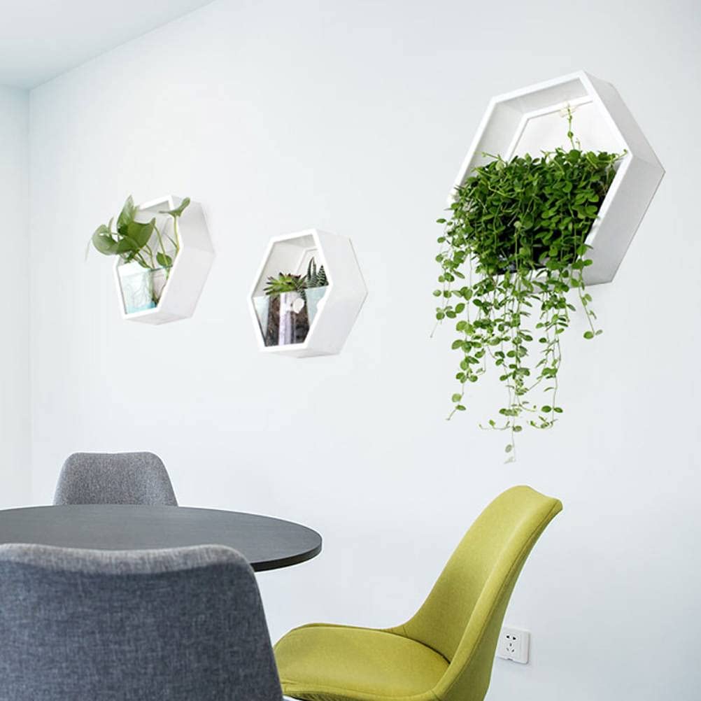 SSZ Creative Wall Hanging Hydroponic Plant Pots with LED Lights - White Small Indoor Garden Decor for Living Room, Bedroom, Office - Perfect for Home Decor, Vertical Gardening & Urban Farming
