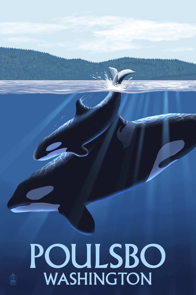 Lantern Press Poulsbo Washington Orca and Calf Wall Art Poster - 12x18 Inches Framed Ready, Nature Wildlife Decor for Living Room, Bedroom, Office & Nursery
