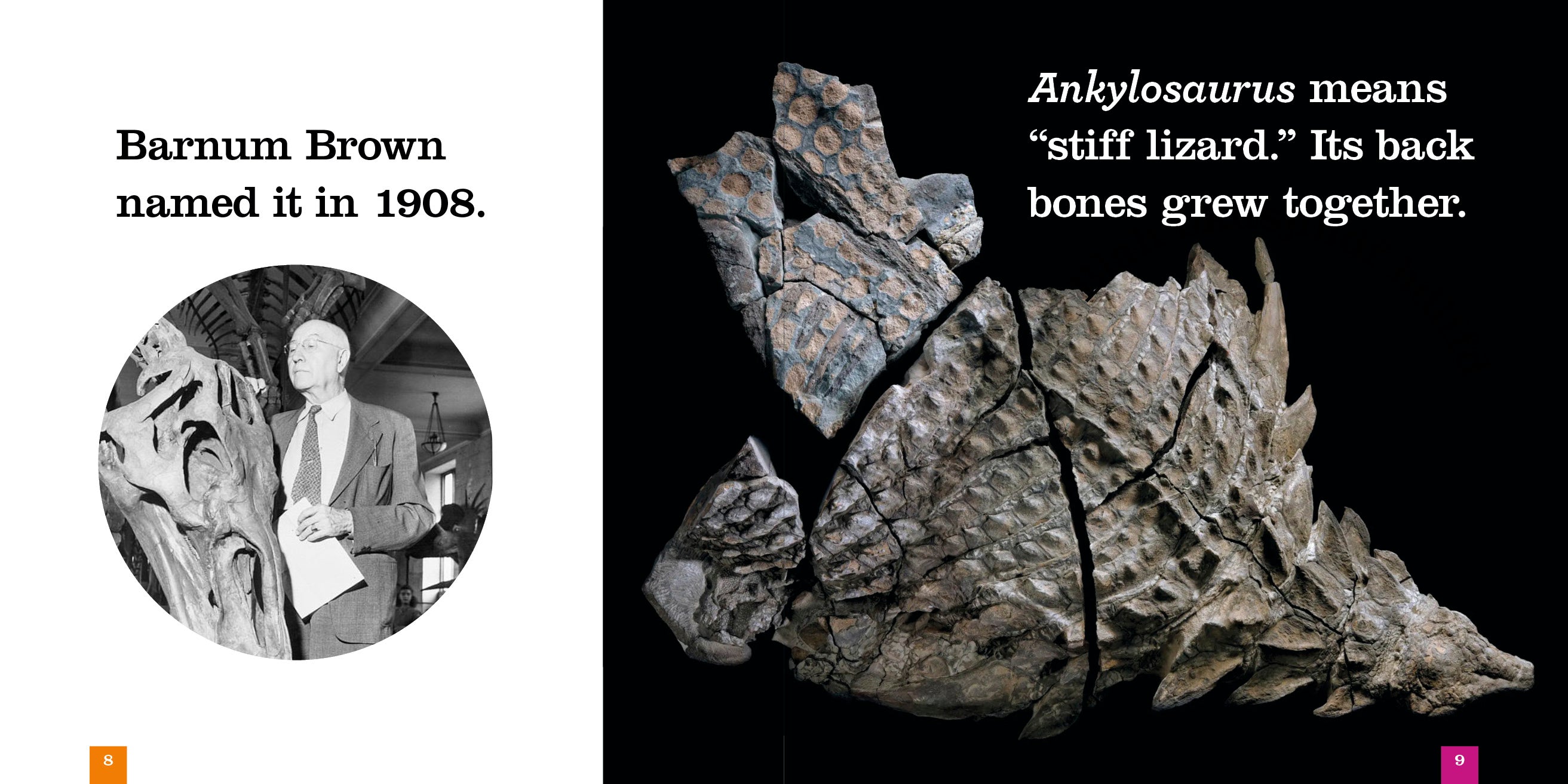 Ankylosaurus Dinosaur Book 9781640265004 - Prehistoric Animal Encyclopedia for Kids, Educational Gift for Dinosaur Lovers - Perfect for School Projects & Bedtime Reading