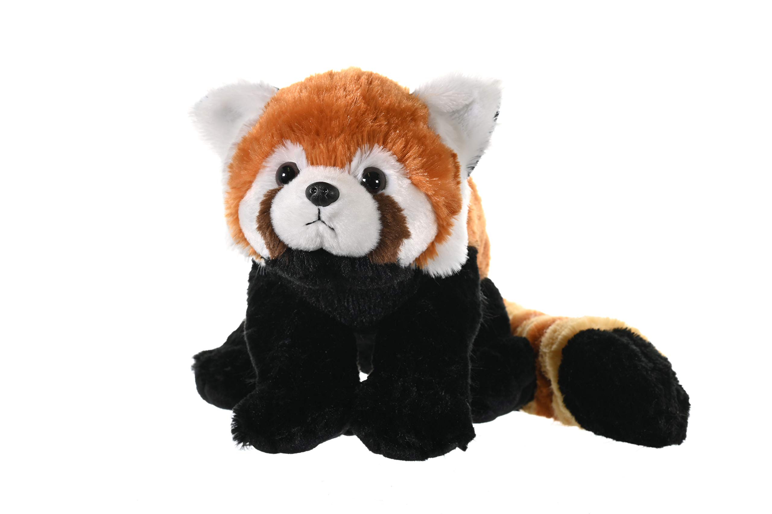 Wild Republic Red Panda Plush Stuffed Animal - 12 Inch Soft Cuddly Toy for Kids, Perfect Gift for Birthday & Christmas | Cuddlekins Collection for Bedtime & Playtime