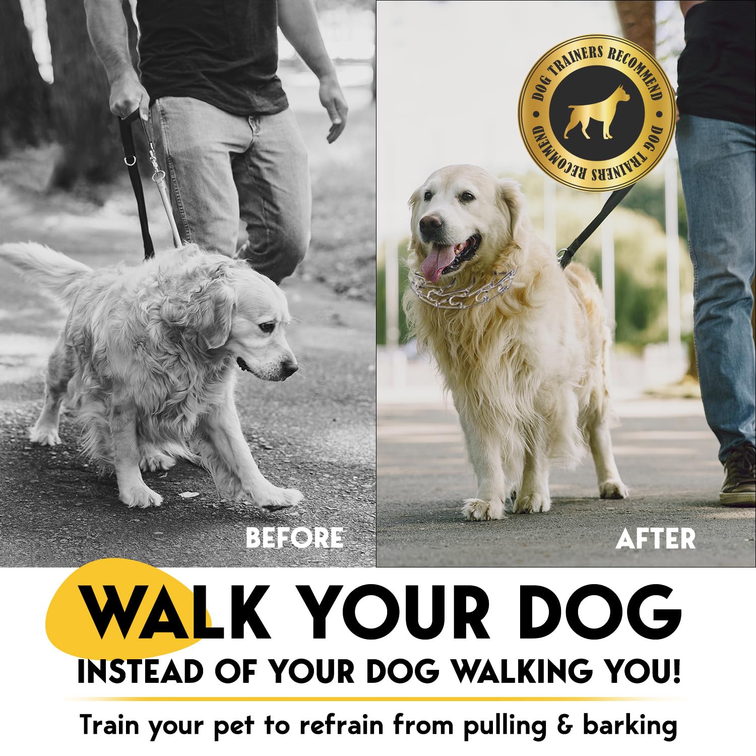 PetJett Prong Collar for Dogs - No Pull Training Collar, Adjustable Pinch Collar for Small Medium Large Breeds - Stainless Steel Choke Chain for Walking & Obedience Training - Perfect for Aggressive Pullers & Leash Training