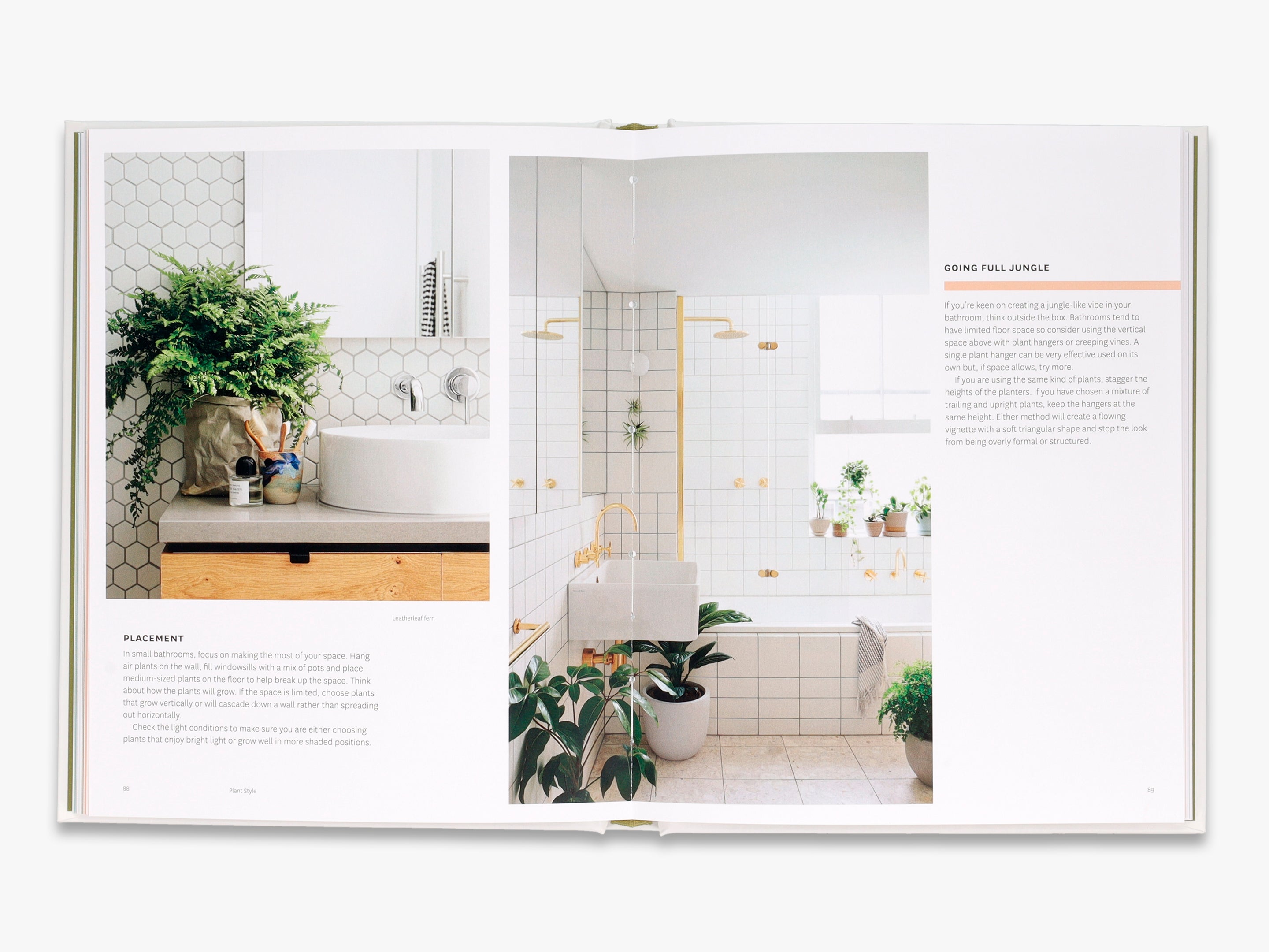 Stylish Indoor Plants for Home & Office Decor - Perfect for Living Room, Bedroom, and Workspace
