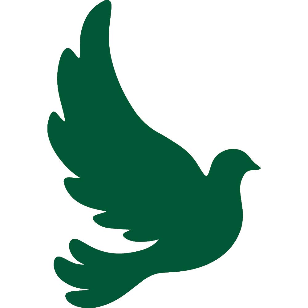 Premium Waterproof Vinyl Decal Stickers - Set of 2 Dove Silhouette (Green) for Laptop, Phone, Helmet, Car Window, Bumper, Mug, Cup, Door & Wall Decoration - Perfect for DIY Home Decor, Personalizing Gadgets & Vehicle Customization