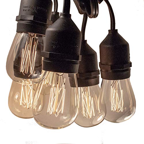 S14 Lantern Edison 11 Watt Bulbs