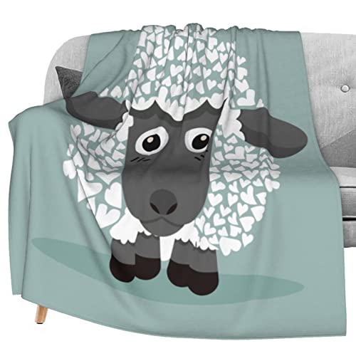 Cute Sheep