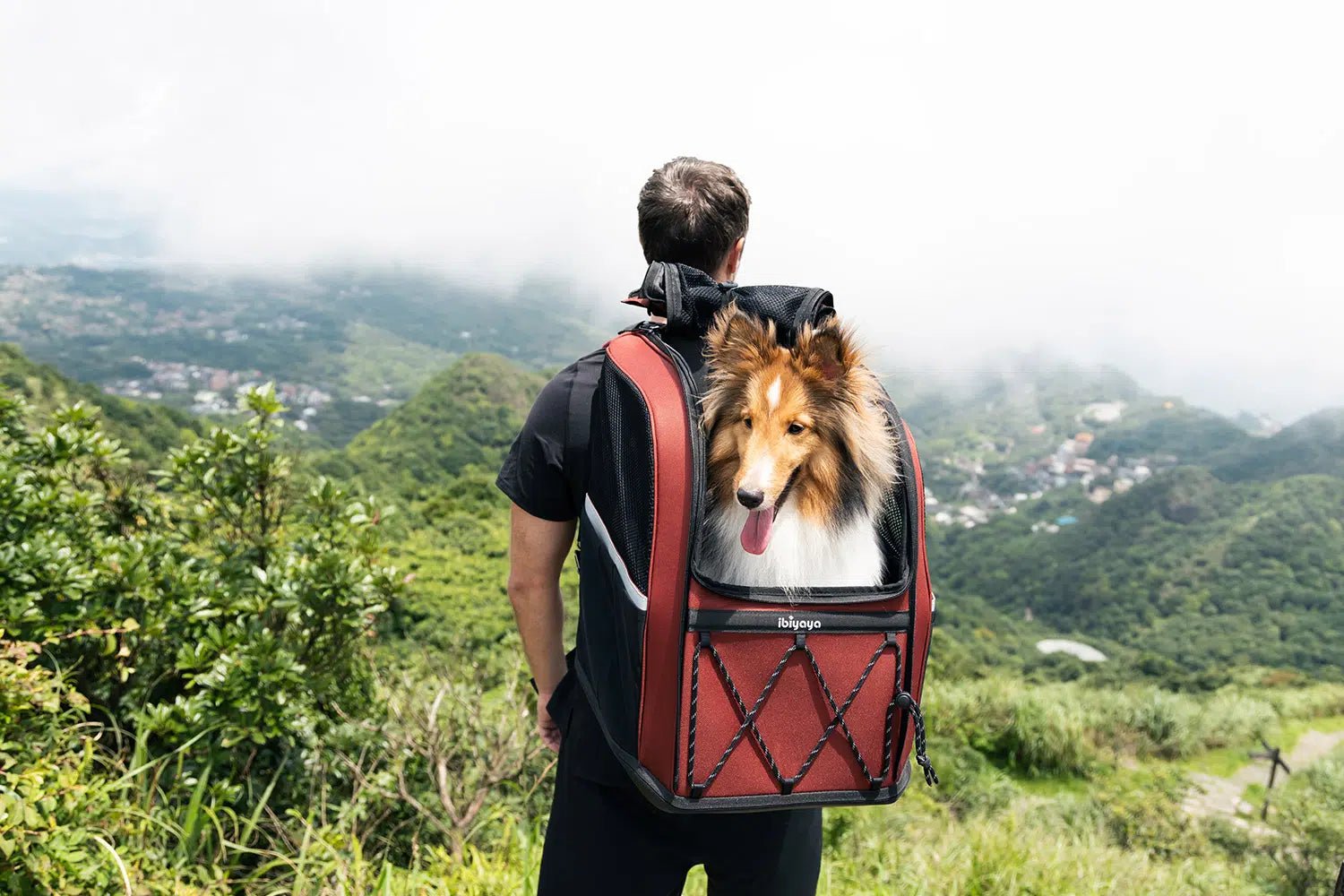 **Champion 3-in-1 Large Dog Carrier Backpack – Convertible Travel Backpack, Wheeled Pet Suitcase & Car Seat Booster – Maroon – Perfect for Air Travel, Road Trips & Outdoor Adventures**