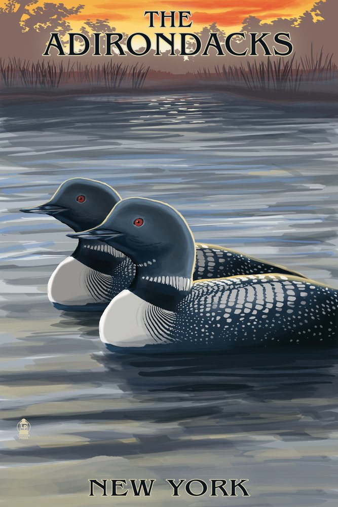 Signed Adirondacks New York State Loons at Sunset 24x36 Art Print - Wall Decor Poster for Living Room, Bedroom & Office