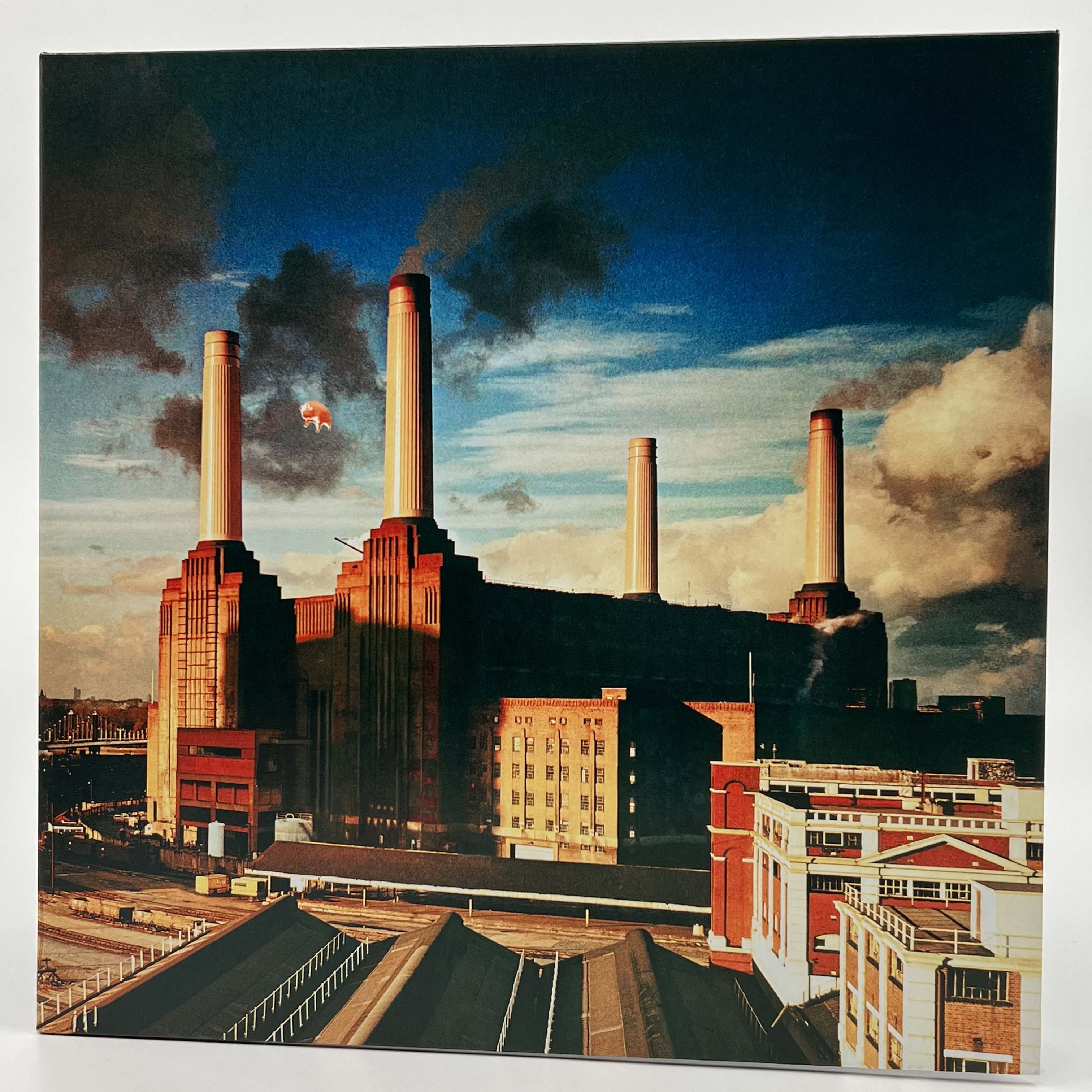 Pink Floyd Official Merchandise - T-Shirts, Hoodies & Collectibles for Music Fans | Perfect for Concerts, Gifts & Rock Music Enthusiasts