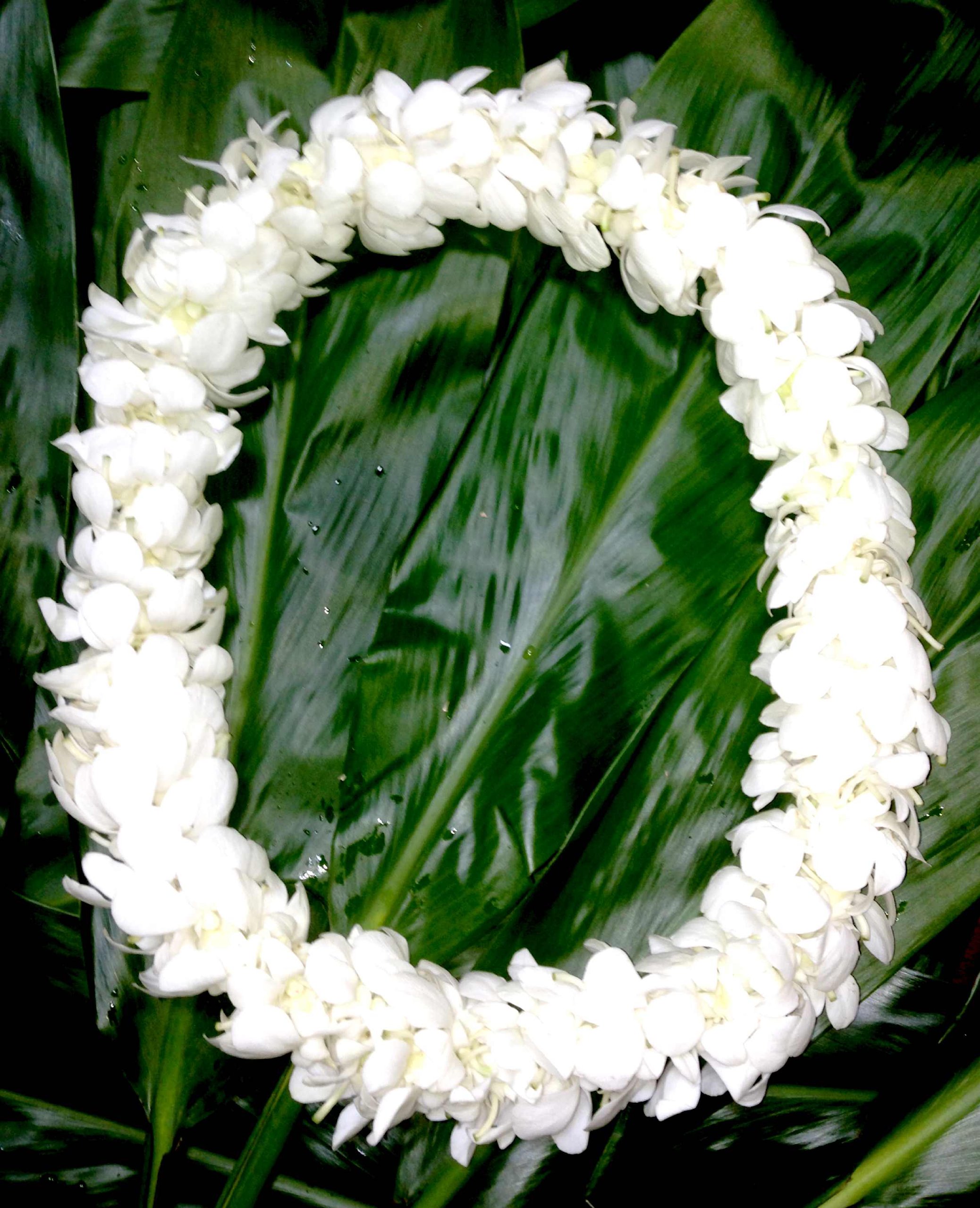 Fresh Handmade Purple (White) Dendrobium Orchid Lei - Perfect for Hawaiian Luaus, Weddings, and Special Events