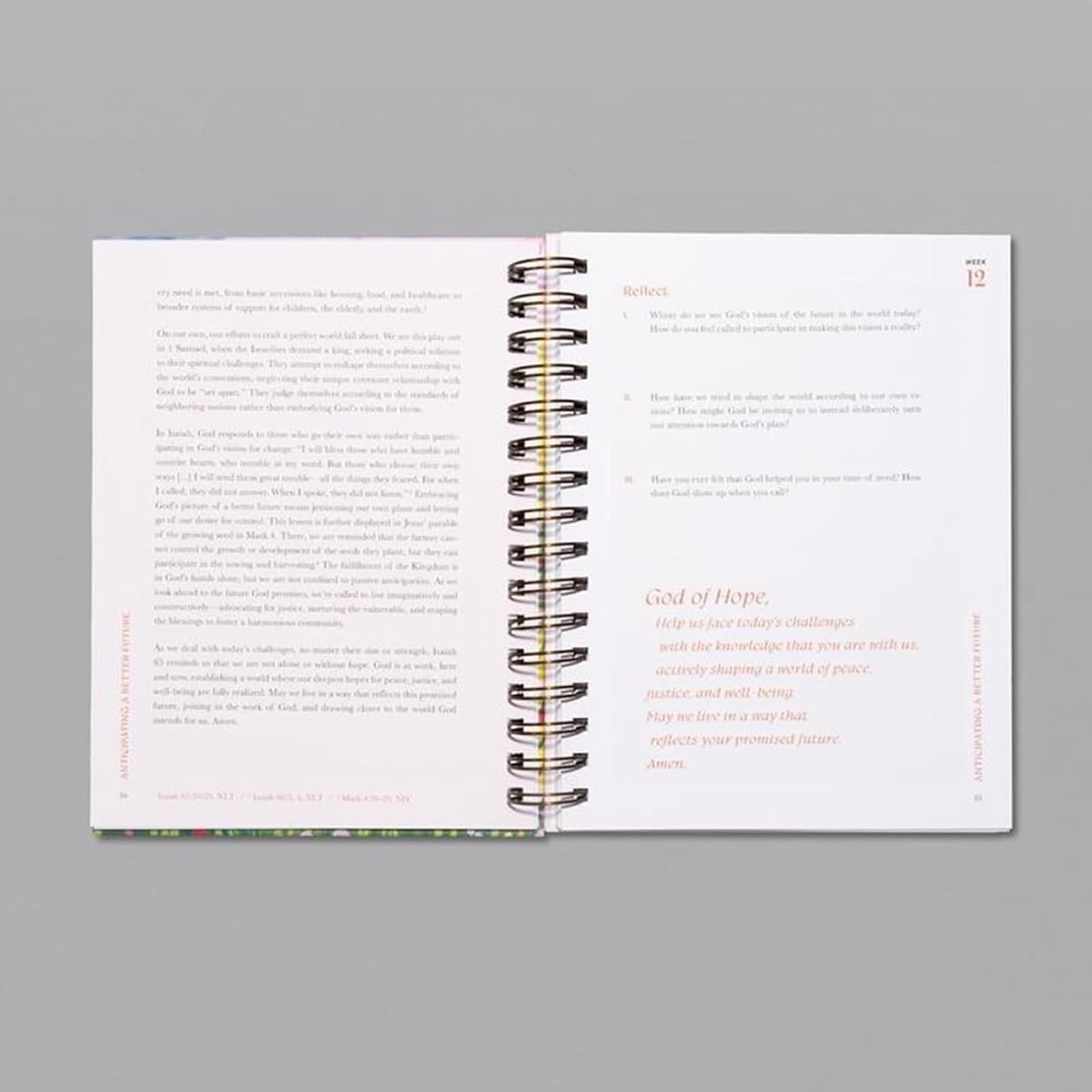 52-Week Spiral Bound Bible Study Guide for Women - Beautiful Year in The Bible Upgrade | Scripture Reading Journey & Devotional Journal (2-Pack) - Perfect for Small Groups, Personal Devotion & Gift Giving