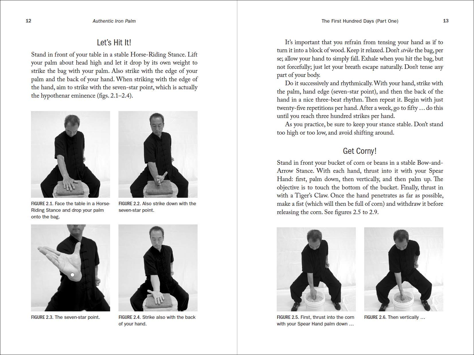 Authentic Iron Palm Training Manual - Complete Guide for Martial Arts & Self-Defense - Perfect for Kung Fu Practitioners & Combat Sports Enthusiasts