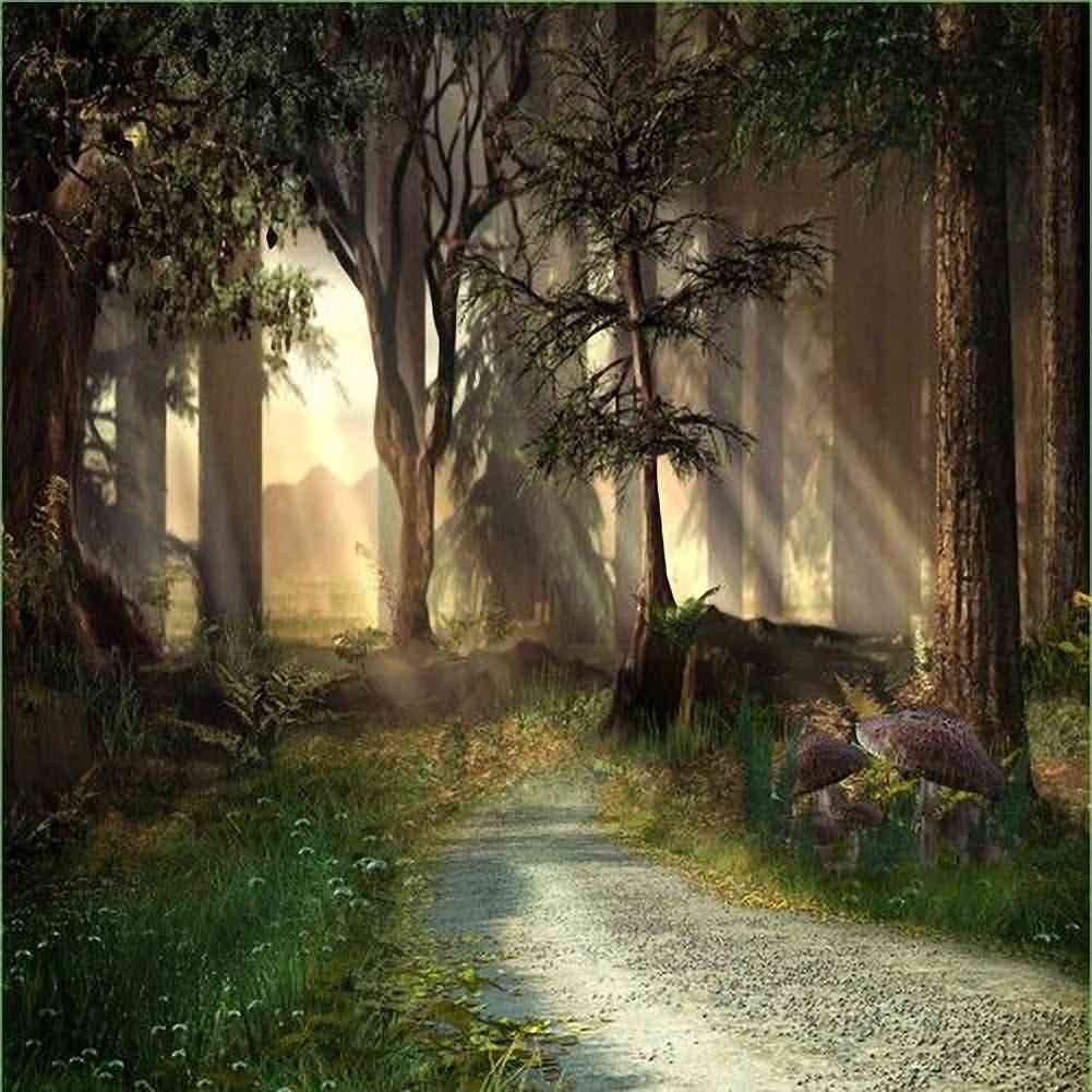 Peaceful Forest 10x10ft Photography Backdrop for Studio & Events