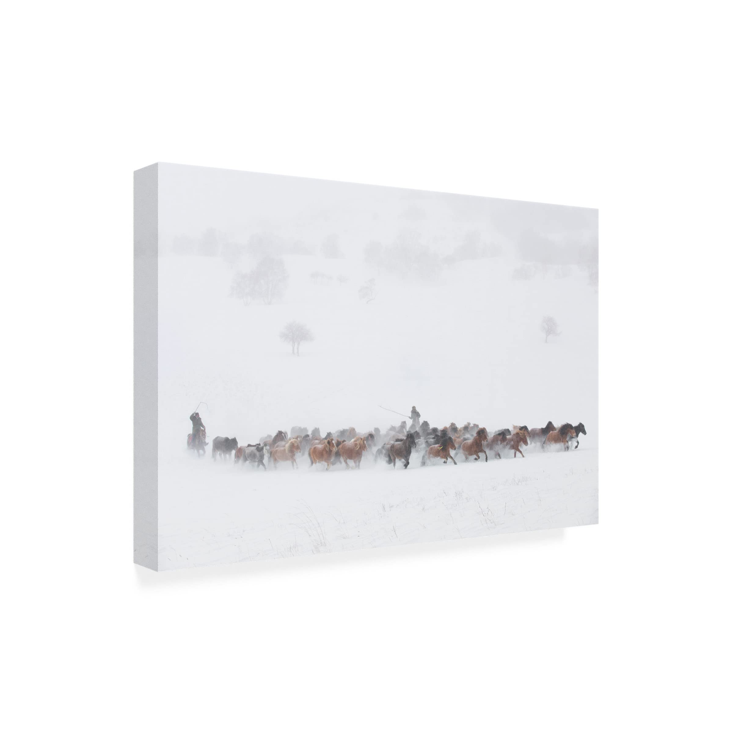 Trademark Fine Art 'Winter Pastures' Canvas Wall Art by Tony Xu - Perfect for Living Room, Bedroom & Office Decor