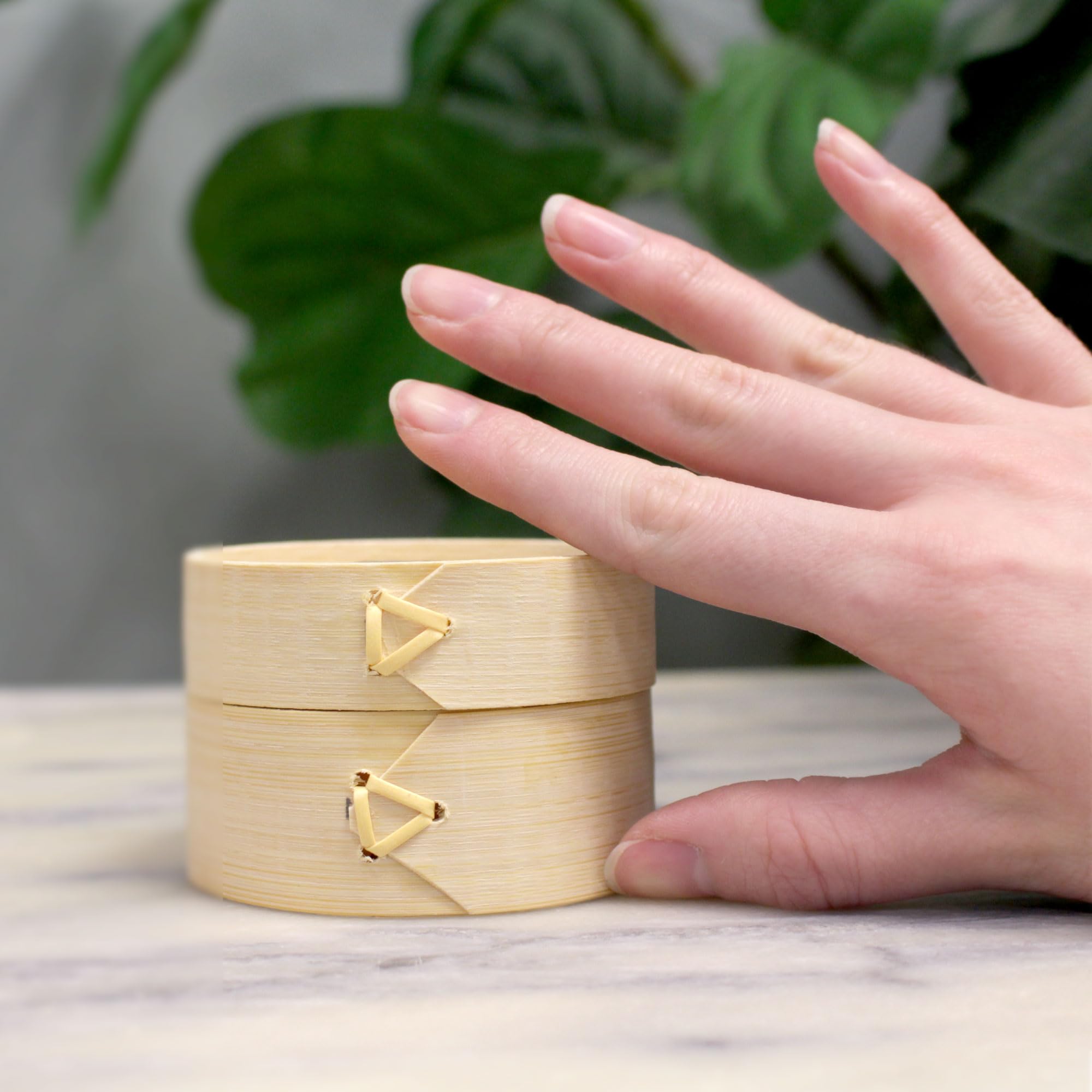 BambooMN 3 Inch Mini Bamboo Steamer Basket - 100 Pack for Dim Sum, Dumplings, Desserts | Perfect for Party Favors, Wedding Decor, Birthday Supplies & Home Kitchen Use