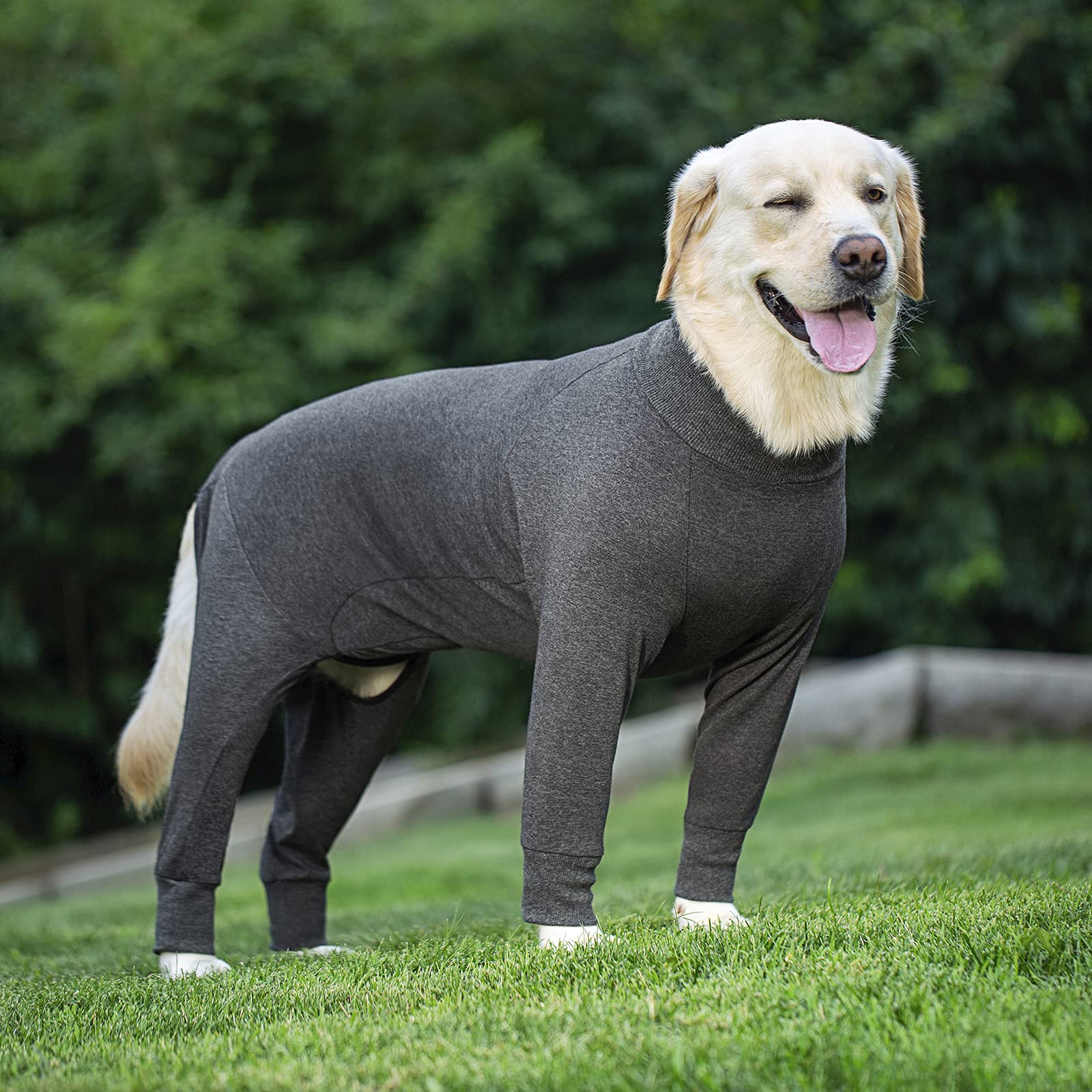 Grey Dog Surgery Recovery Suit for Medium & Large Dogs - Post-Surgical Onesie for Male & Female Pets | Lightweight Anti-Licking Dog Pajamas to Protect Wounds & Reduce Shedding | Ideal for Post-Op Care, Wound Healing & Comfortable Recovery
