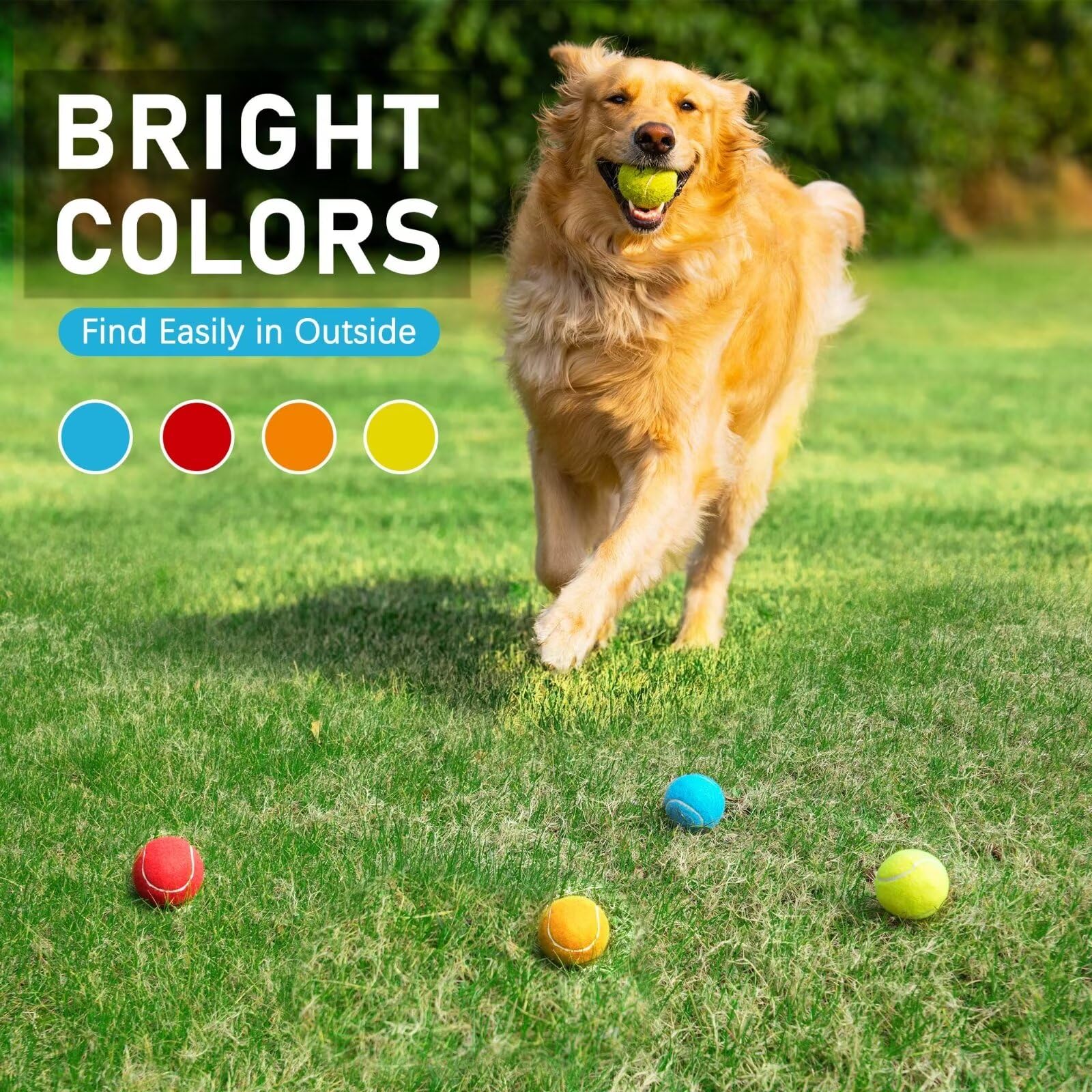 PrimePets Durable Tennis Balls for Dogs - 12 Pack Non-Squeak Bouncy Dog Toys for Fetch, Training & Play - Thick Rubber Chew-Proof Balls for Medium & Large Dogs - Perfect for Indoor, Outdoor, Park & Beach Use