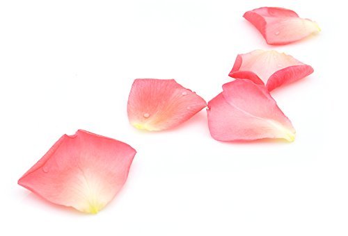 Organic Rose Petal Powder for Face Mask & Skincare - 900Gm (32oz) - Natural Glow Booster for DIY Facials, Brightening Treatments & Spa Days