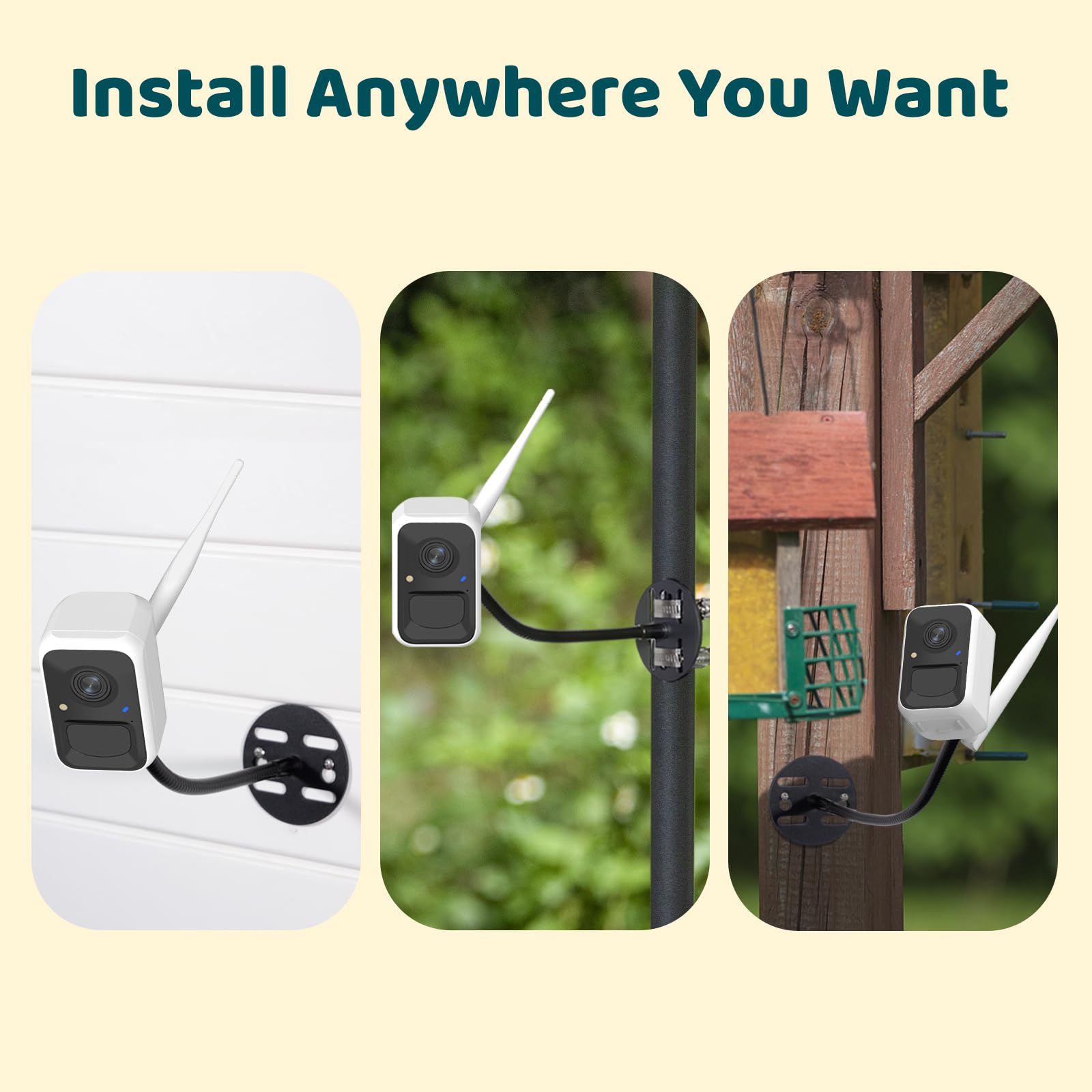 NETVUE by Birdfy Upgraded Smart Bird Feeder Camera with Solar Power - Auto Bird Video Capture, AI Identifies 6000+ Species, Instant Phone Notifications - Perfect for Backyard Bird Watching & Wildlife Monitoring