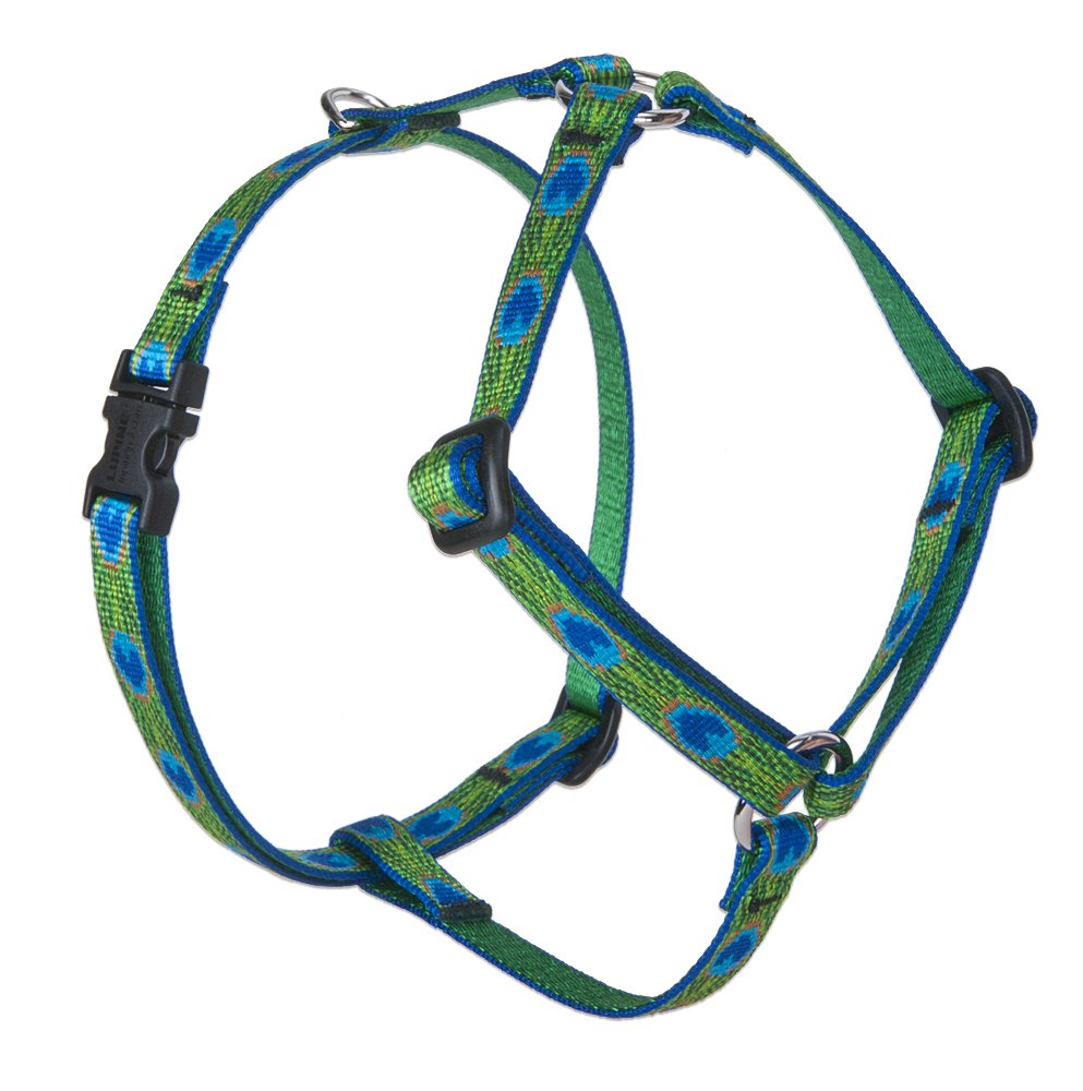 LupinePet Originals Adjustable Roman Dog Harness for Small Dogs - 1/2