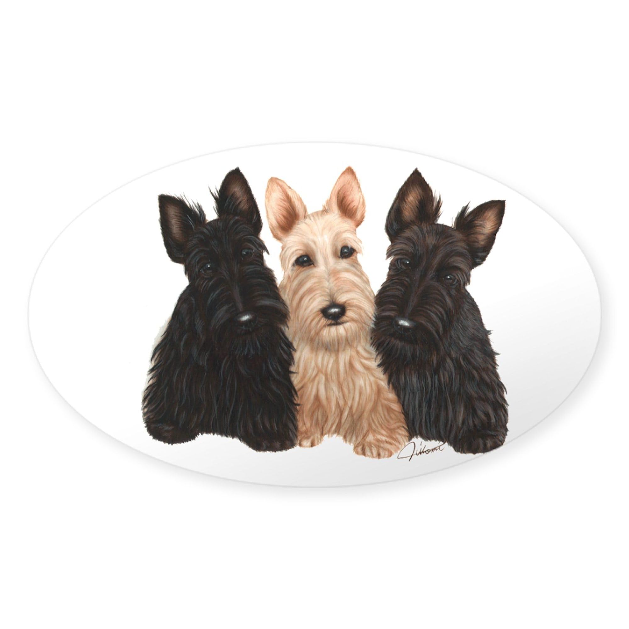 Scottish Terrier Puppies Oval Car Bumper Sticker - 3 Adorable Dogs Design, Waterproof Vinyl Decal for Cars, Laptops, Windows | Perfect for Pet Lovers & Scottish Terrier Fans