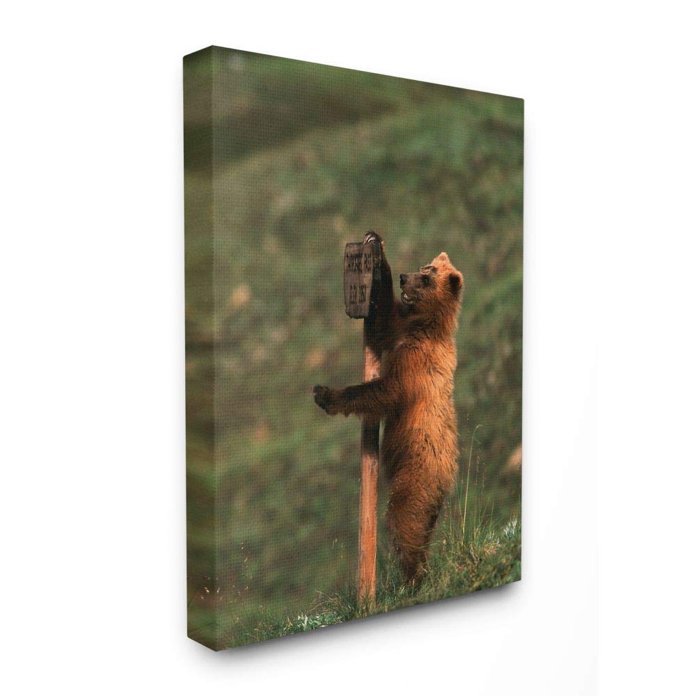 Stupell Industries Grizzly Bear Cub Scratching Park Sign - Multi-Color Canvas Wall Art 30x40 Inches - Perfect for Wildlife Lovers, Nursery Decor & Cabin Wall Decorations