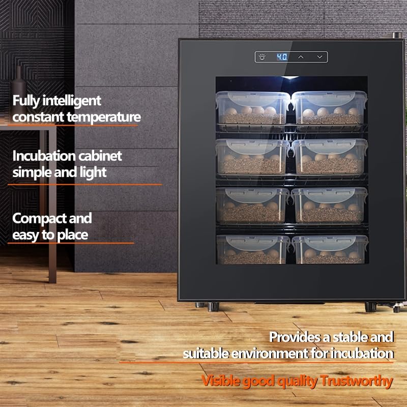 High-Precision Reptile Egg Incubator with ±1.5°C Accuracy - Adjustable 10-40°C for Turtle, Lizard, Gecko & Snake Eggs - Ideal for Hatching and Breeding in Home or Professional Settings