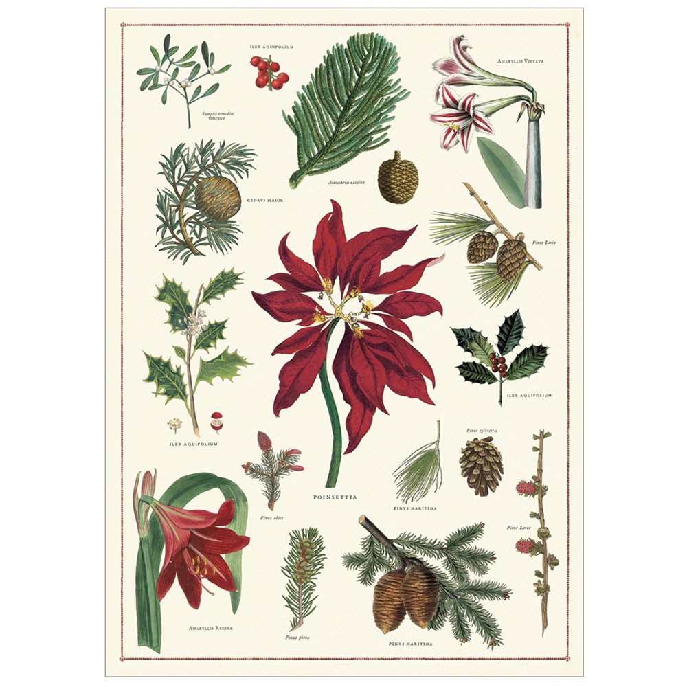 Christmas Botanica Wrapping Paper - Festive Holiday Gift Wrap for Presents, Cards & Decorations - Perfect for Christmas, Hanukkah & Winter Celebrations