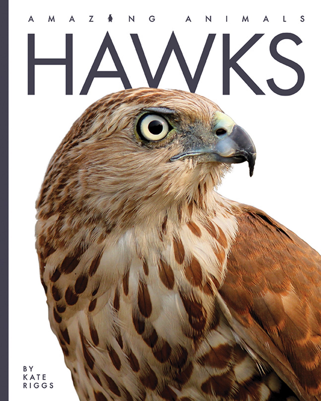 Hawks Book 9781640265128 - Wildlife & Nature Guide for Bird Watching, Outdoor Adventures, and Nature Enthusiasts