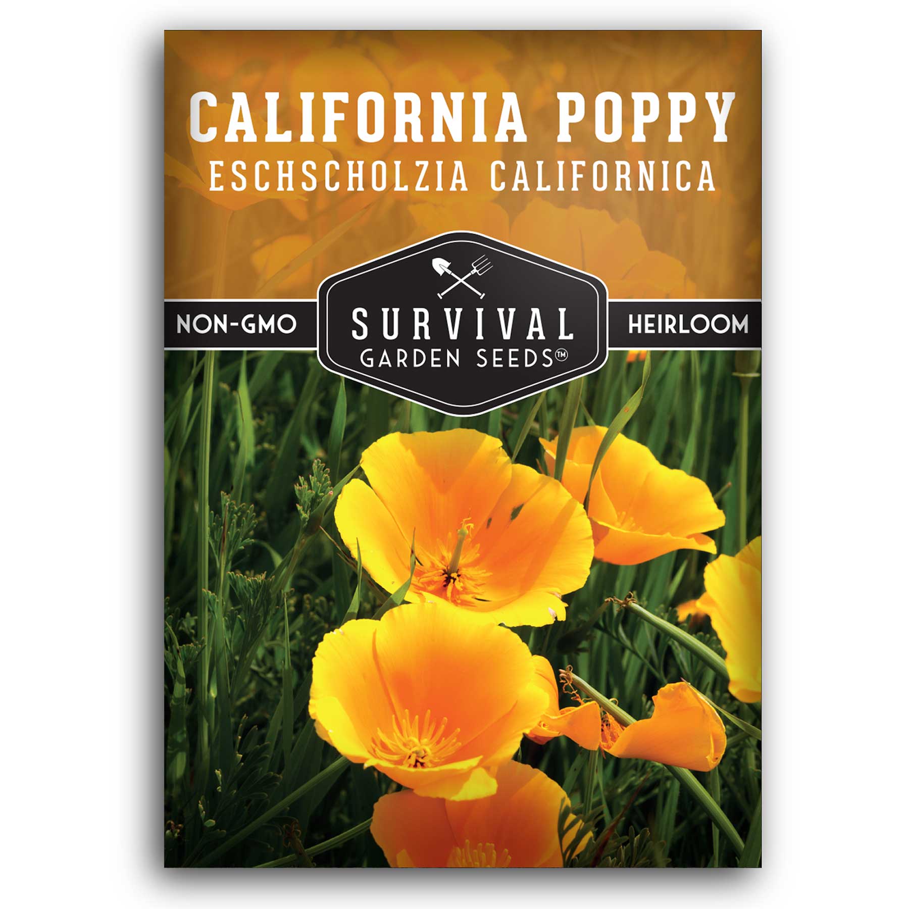 California Poppy Seeds - Organic, Non-GMO, Heirloom Variety for Planting & Gardening - Perfect for Wildflower Gardens, Landscaping & Pollinator-Friendly Yards