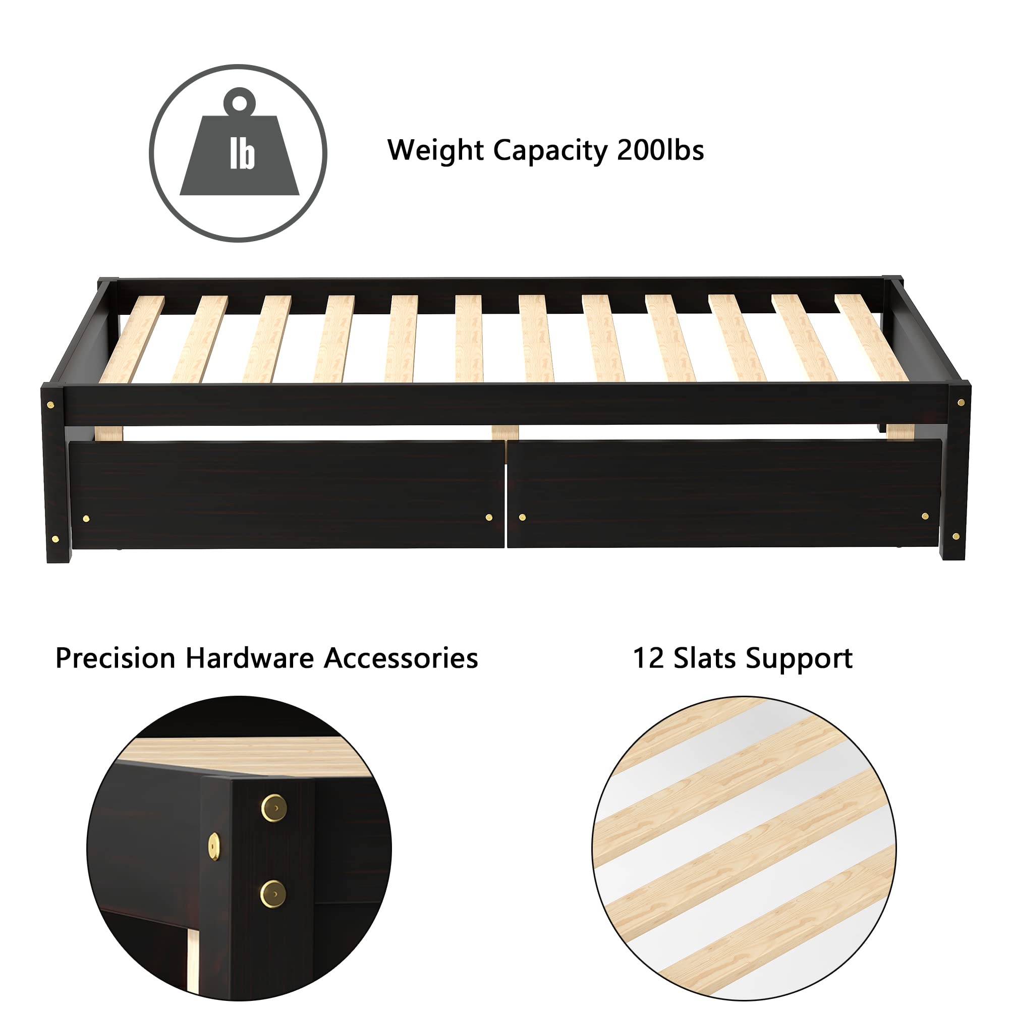 Twin Size Platform Bed Frame with 2 Storage Drawers - Solid Wood Captains Bed No Headboard for Kids & Teens (Espresso) | Space-Saving Bedroom Furniture for Small Rooms & Dormitories