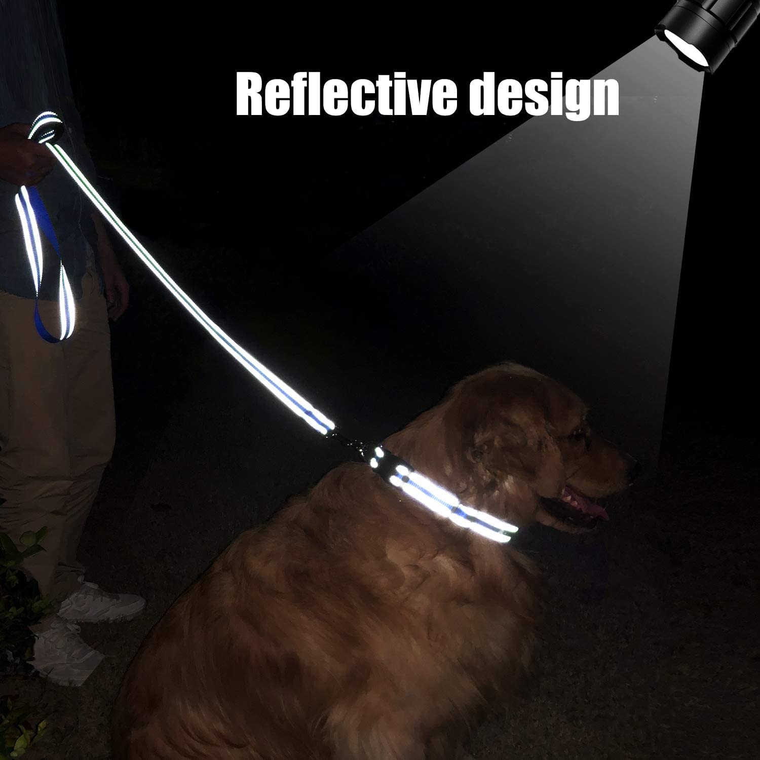 4FT Reflective Dog Leash with Soft Padded Handle - 1 Inch Wide Training & Walking Lead for Large & Medium Dogs (Royal Blue) | Perfect for Night Walks, Jogging, and Outdoor Adventures