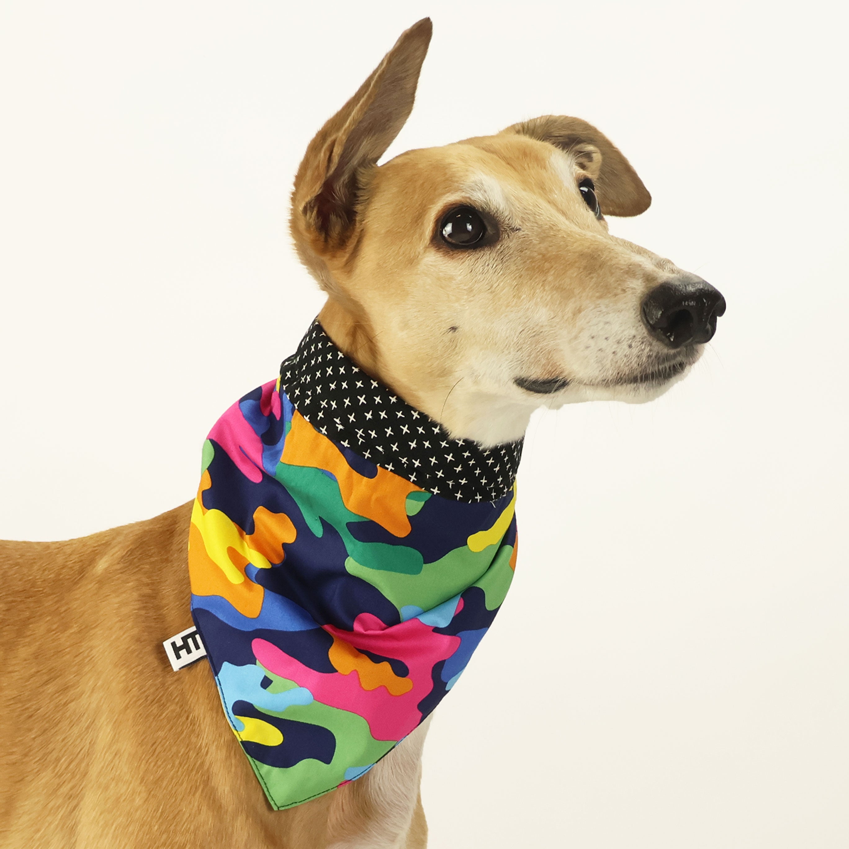 Kamo Kween Bandana - Stylish & Soft Cotton Bandana for Women & Men - Perfect for Fashion, Headwear, Hair Accessories, and Outdoor Activities