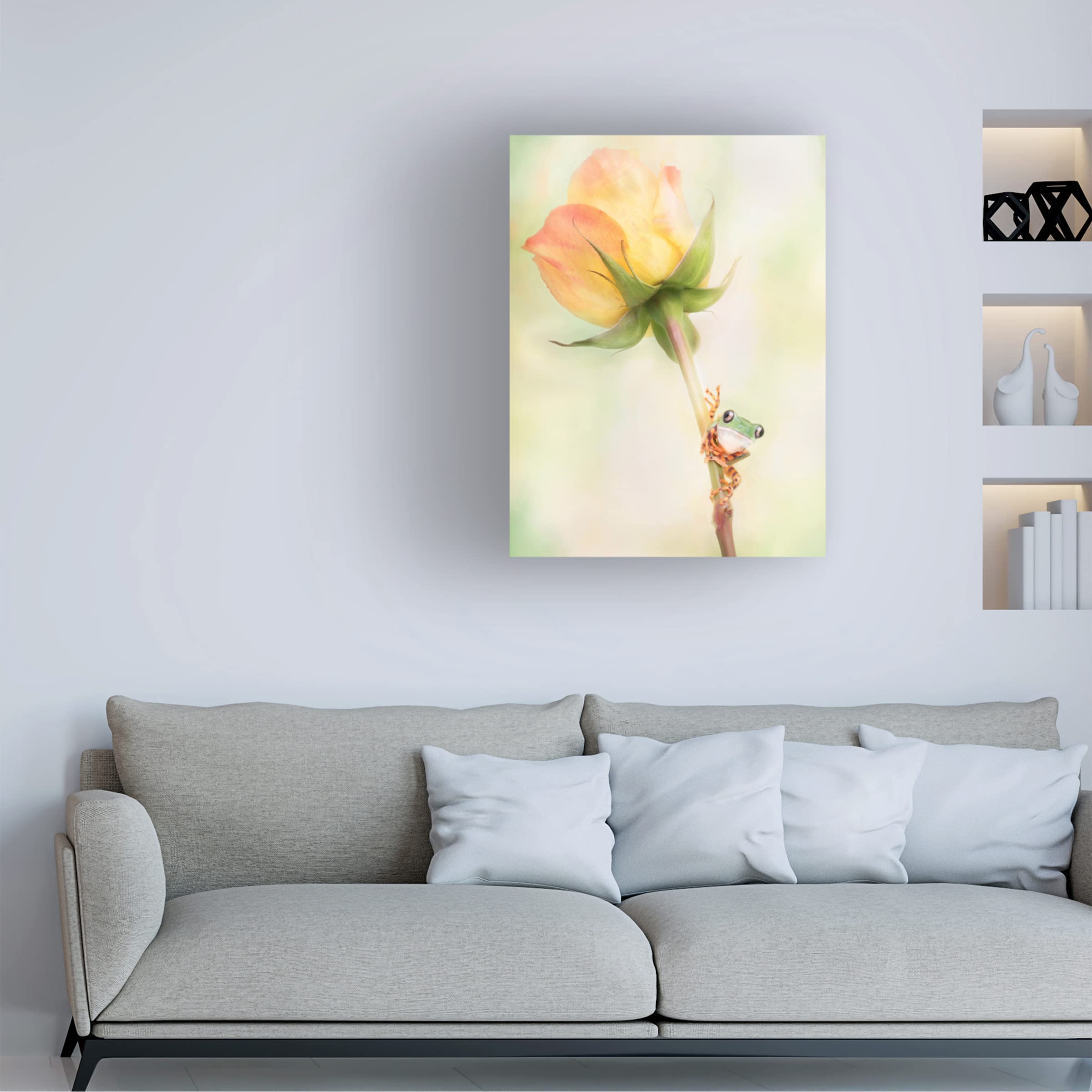 Trademark Fine Art 'Tiger Leg Monkey Tree Frog' Canvas Wall Art by Linda D Lester - Vibrant Tropical Frog Painting for Living Room, Bedroom & Office Decor