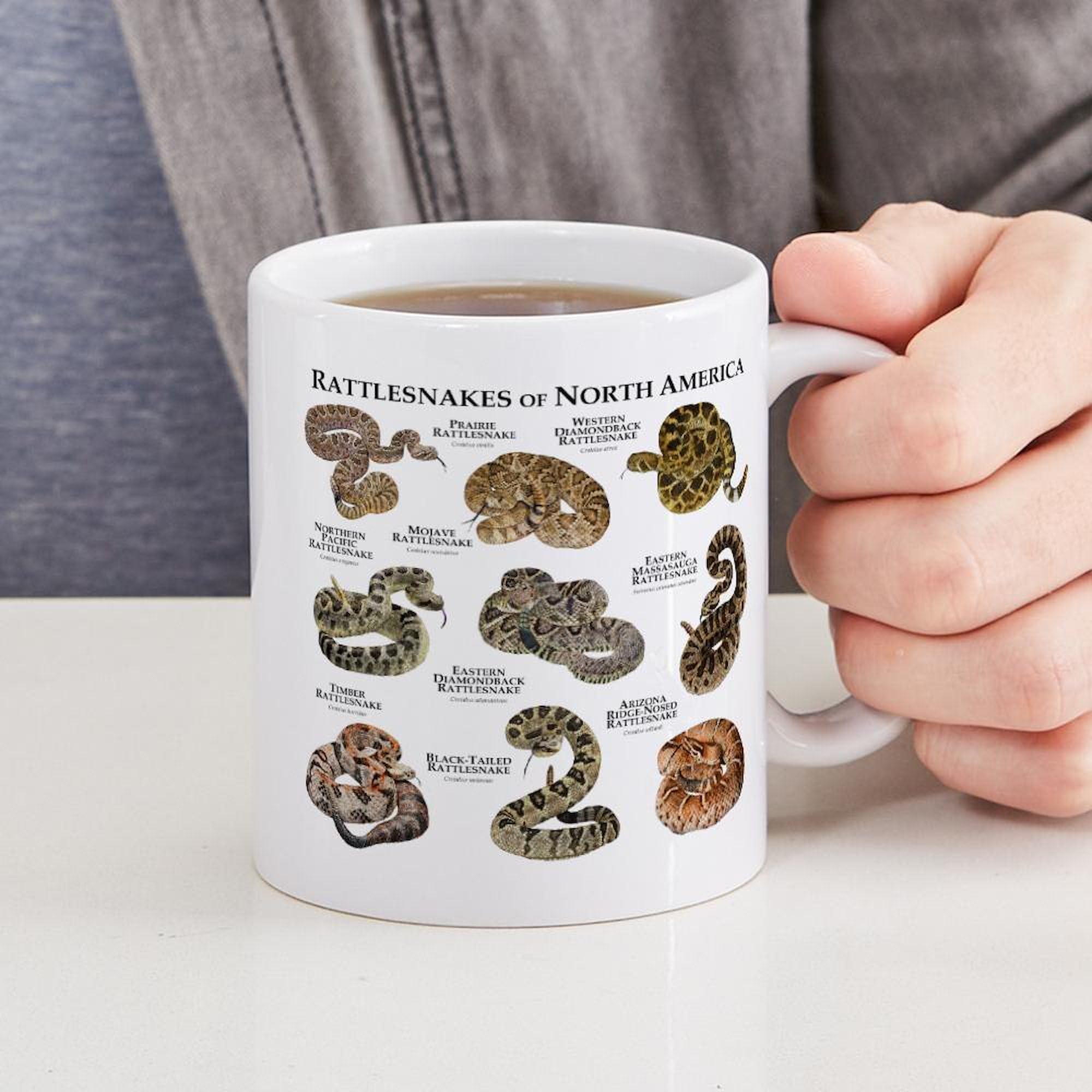 Rattlesnakes of North America 11 oz Ceramic Coffee Mug (325 ml) - Perfect for Home, Office, or Gift - Durable & Stylish Coffee Cup