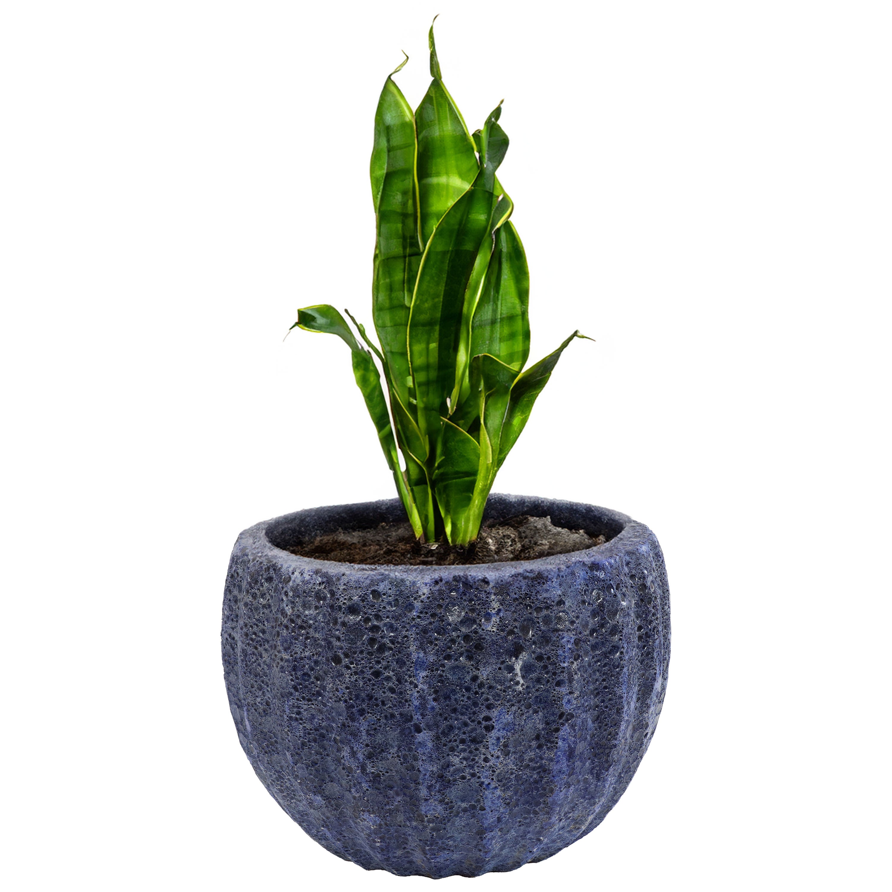Sunnydaze 13.5 Inch Ceramic Flower Pot with Dark Blue Fluted Lava Finish - Perfect for Indoor Plants, Home Decor & Garden Decorations