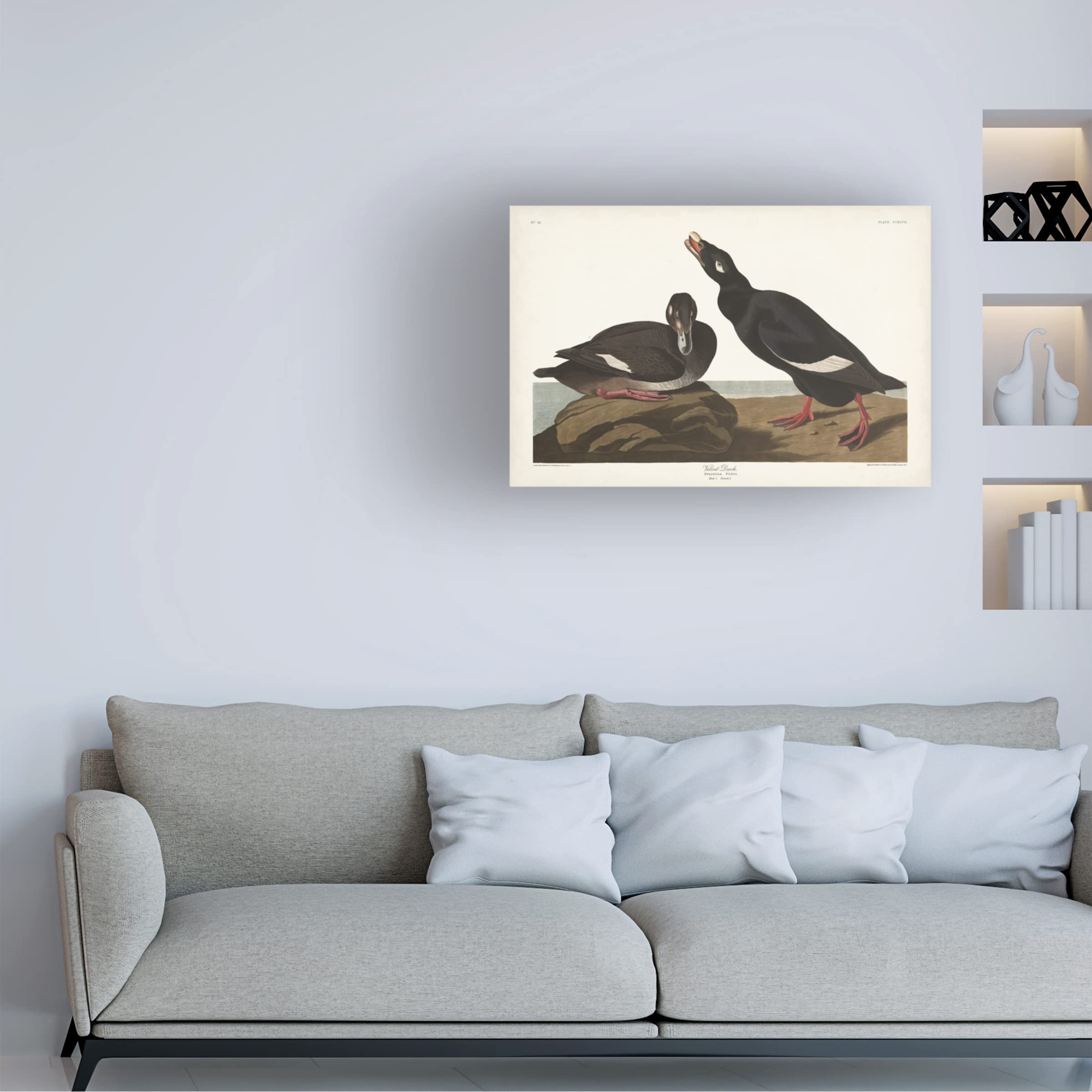 Trademark Fine Art 'Velvet Duck' Canvas Wall Art by John James Audubon - 30x47 Inches - Premium Wildlife Home Decor for Living Room, Bedroom & Office