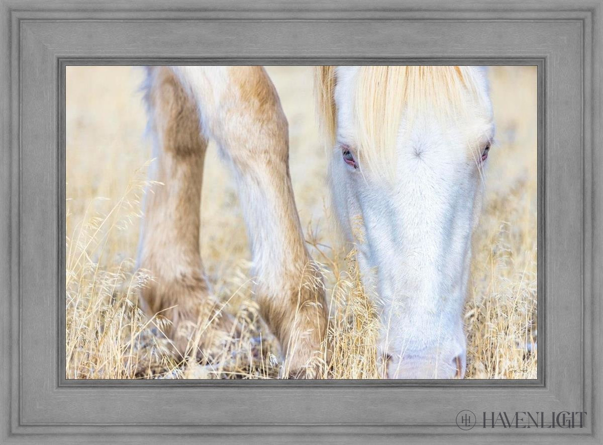 Dry Grass by Greg Sargent - Premium Handcrafted Home Decor for Rustic & Farmhouse Style - Perfect for Wall Art, Shelf Displays & Cozy Living Room Decor
