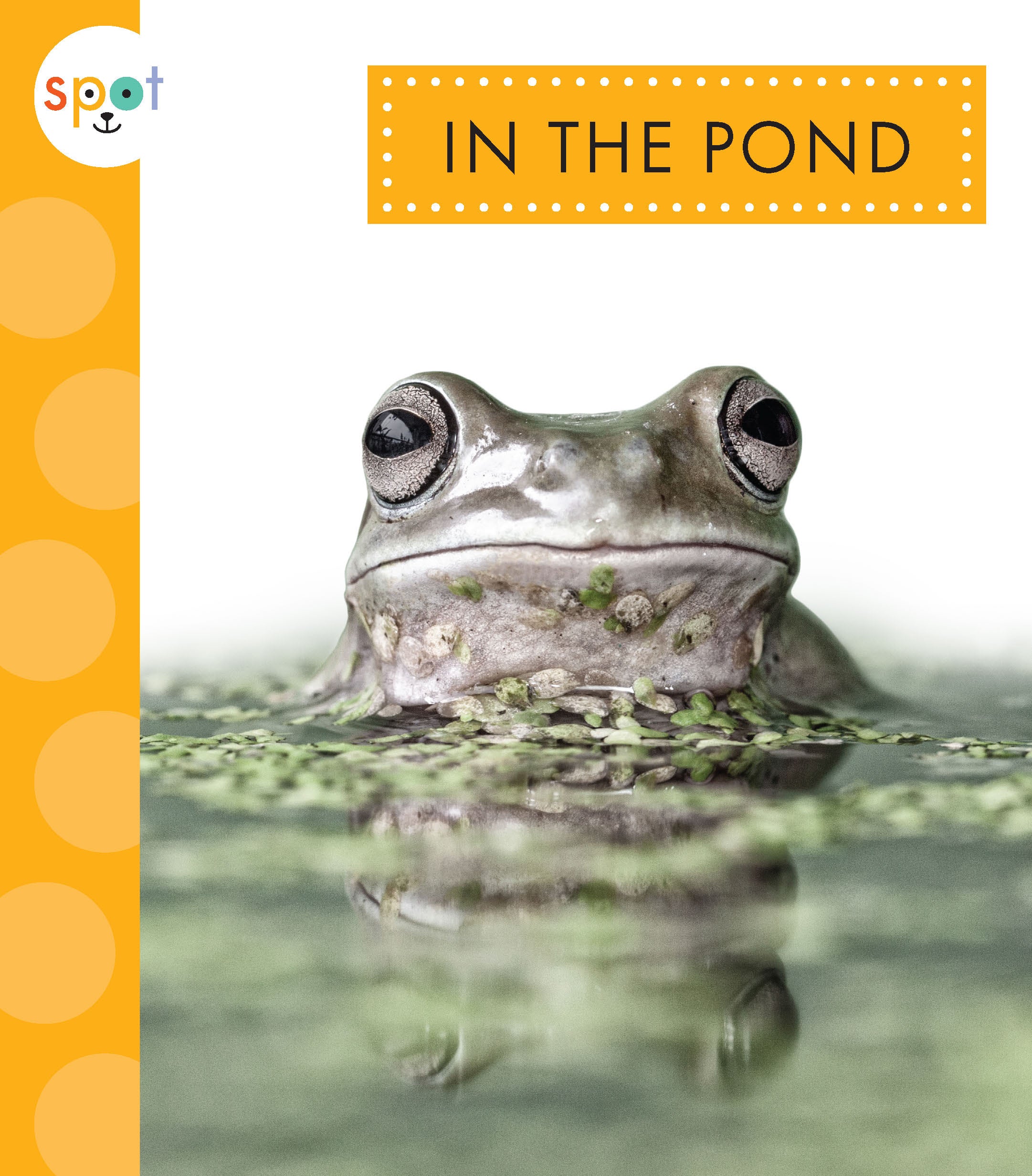 Premium Pond Accessories for Water Gardens & Outdoor Ponds | Durable & Stylish Decor | Perfect for Koi Ponds, Backyard Water Features & Aquatic Landscaping